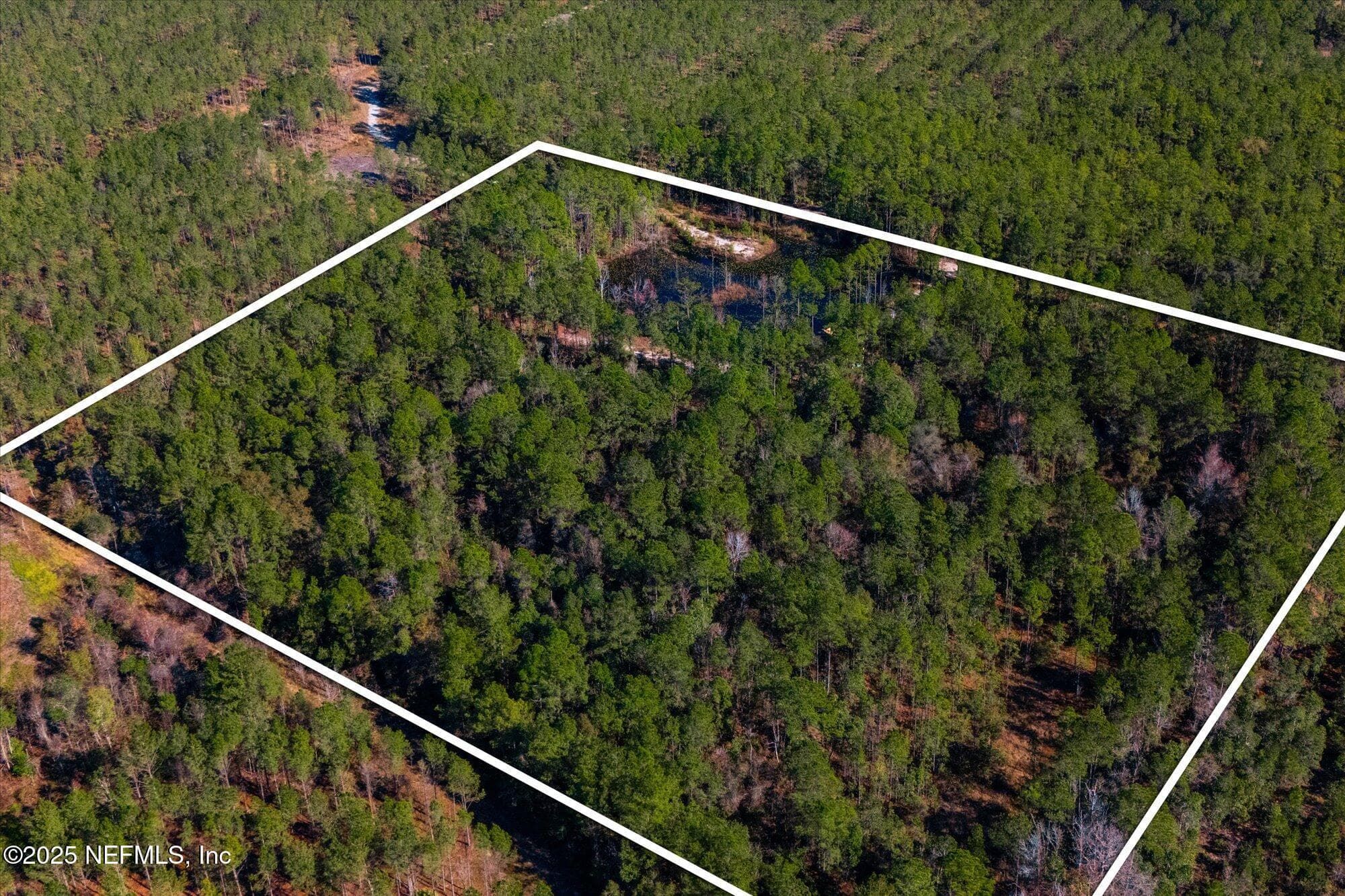 Photo 35 of 191 COUNTY LANDFILL Road, Palatka, FL 32177