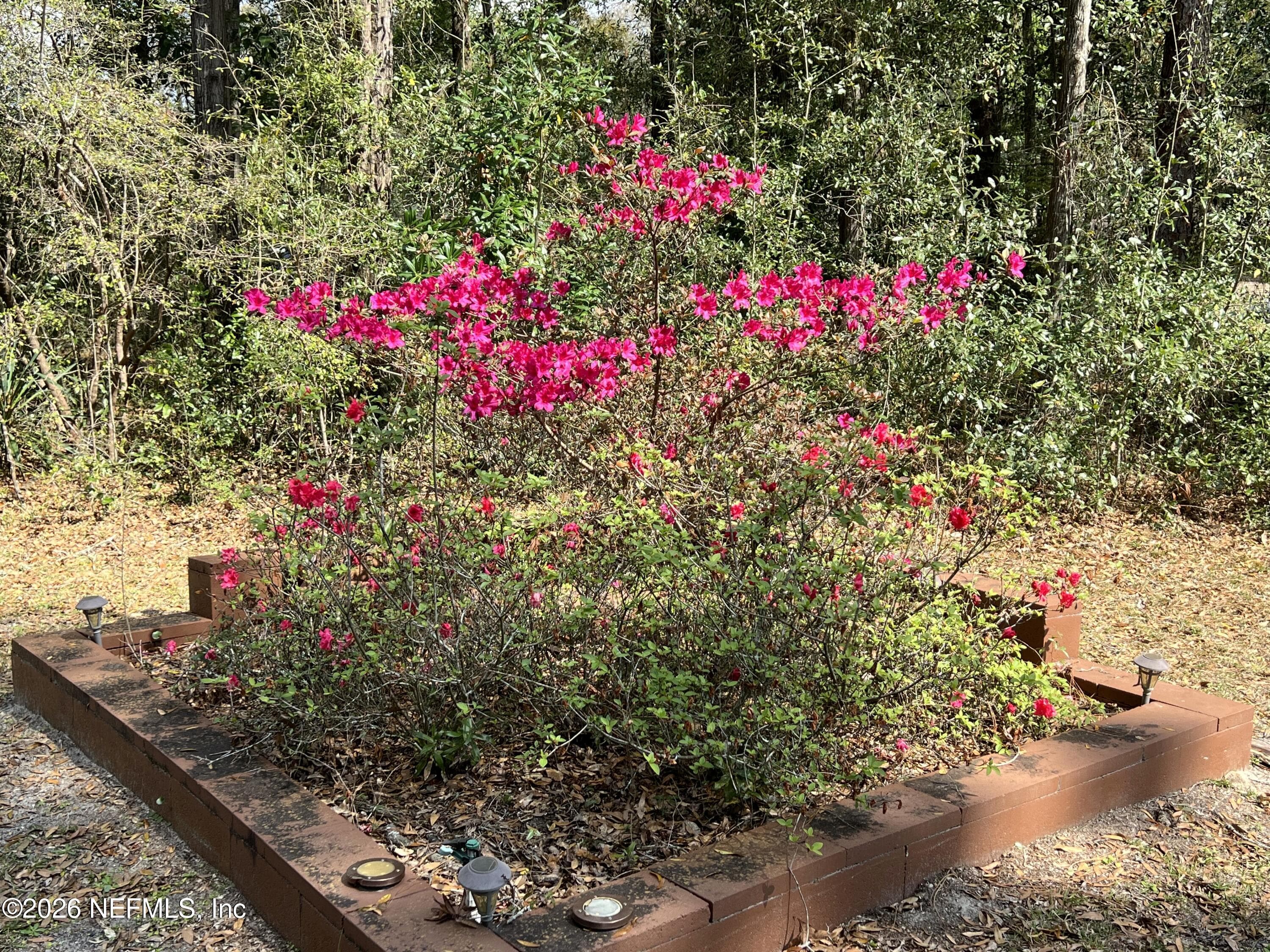 Photo 9 of 268 WESLEY Road, Green Cove Springs, FL 32043