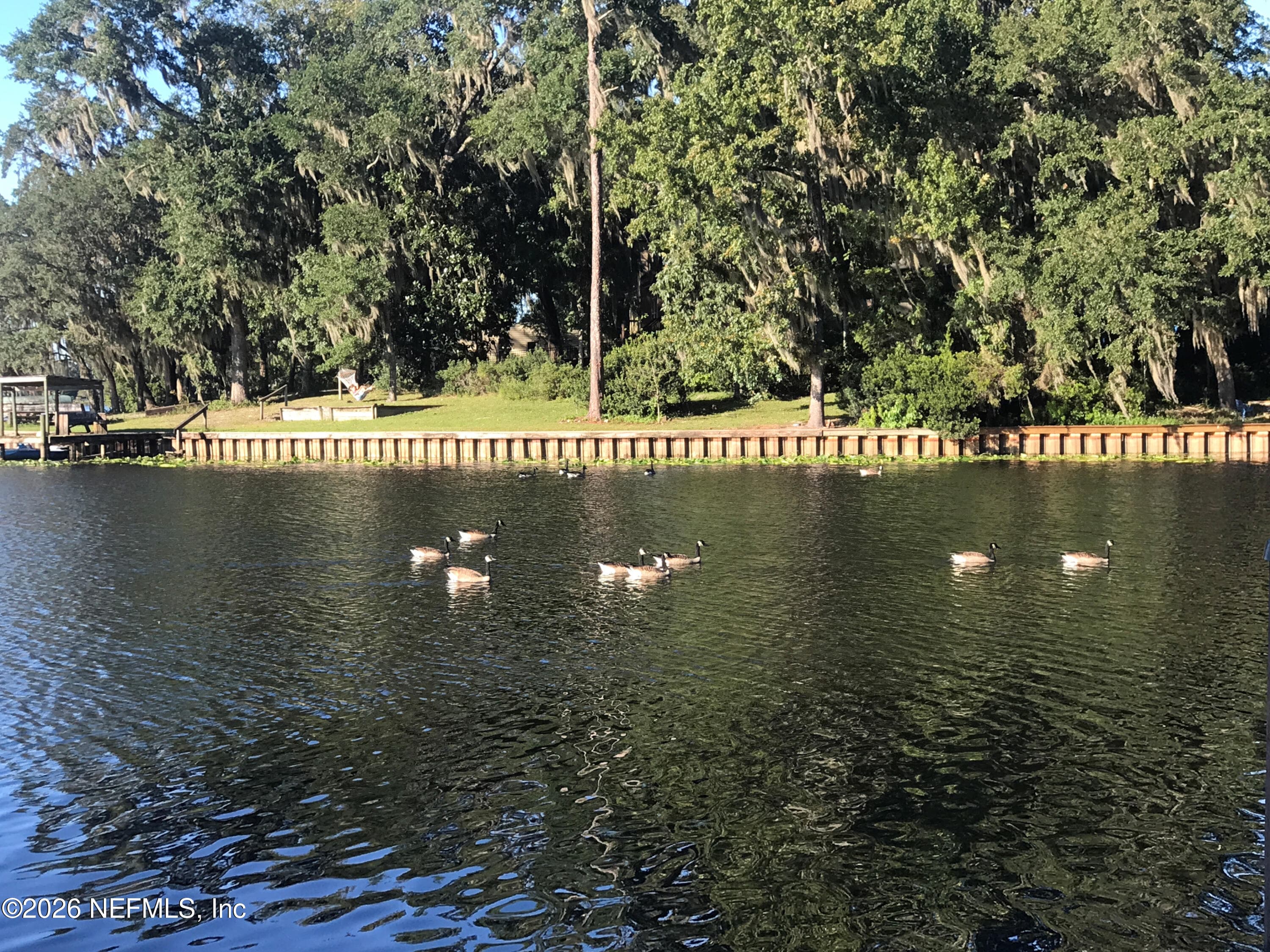 Photo 80 of 268 WESLEY Road, Green Cove Springs, FL 32043