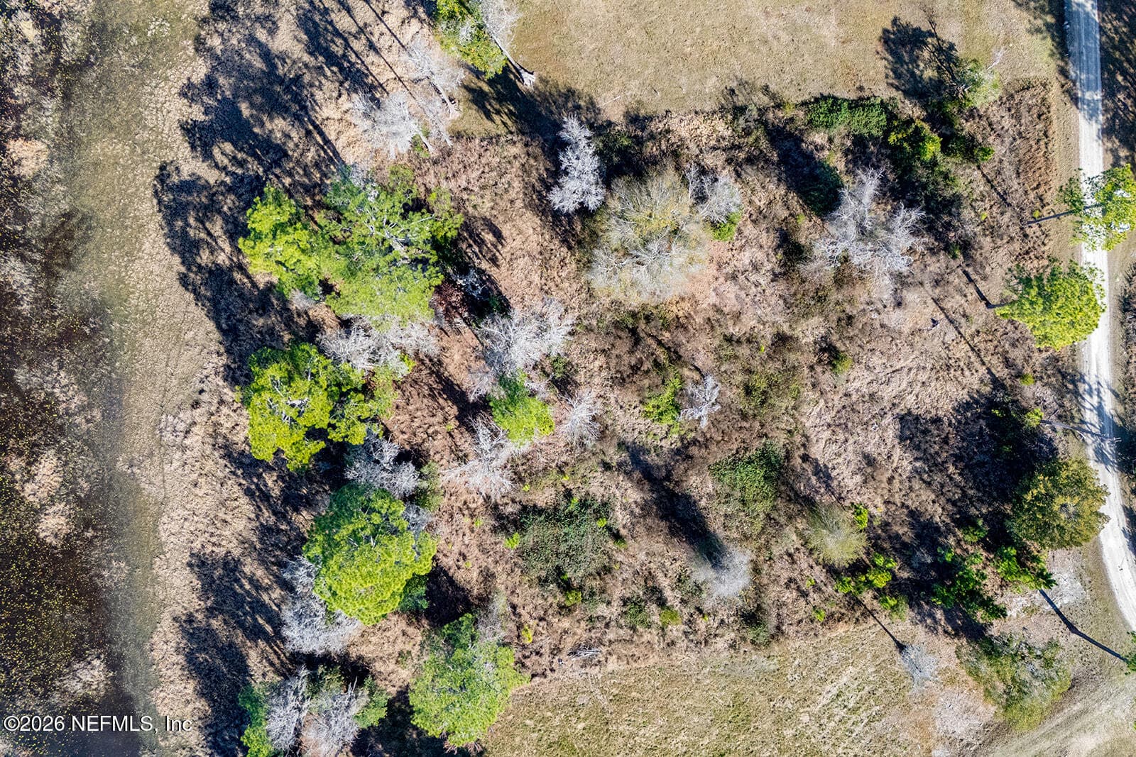 Photo 51 of TBD LAKESHORE Drive, Starke, FL 32091
