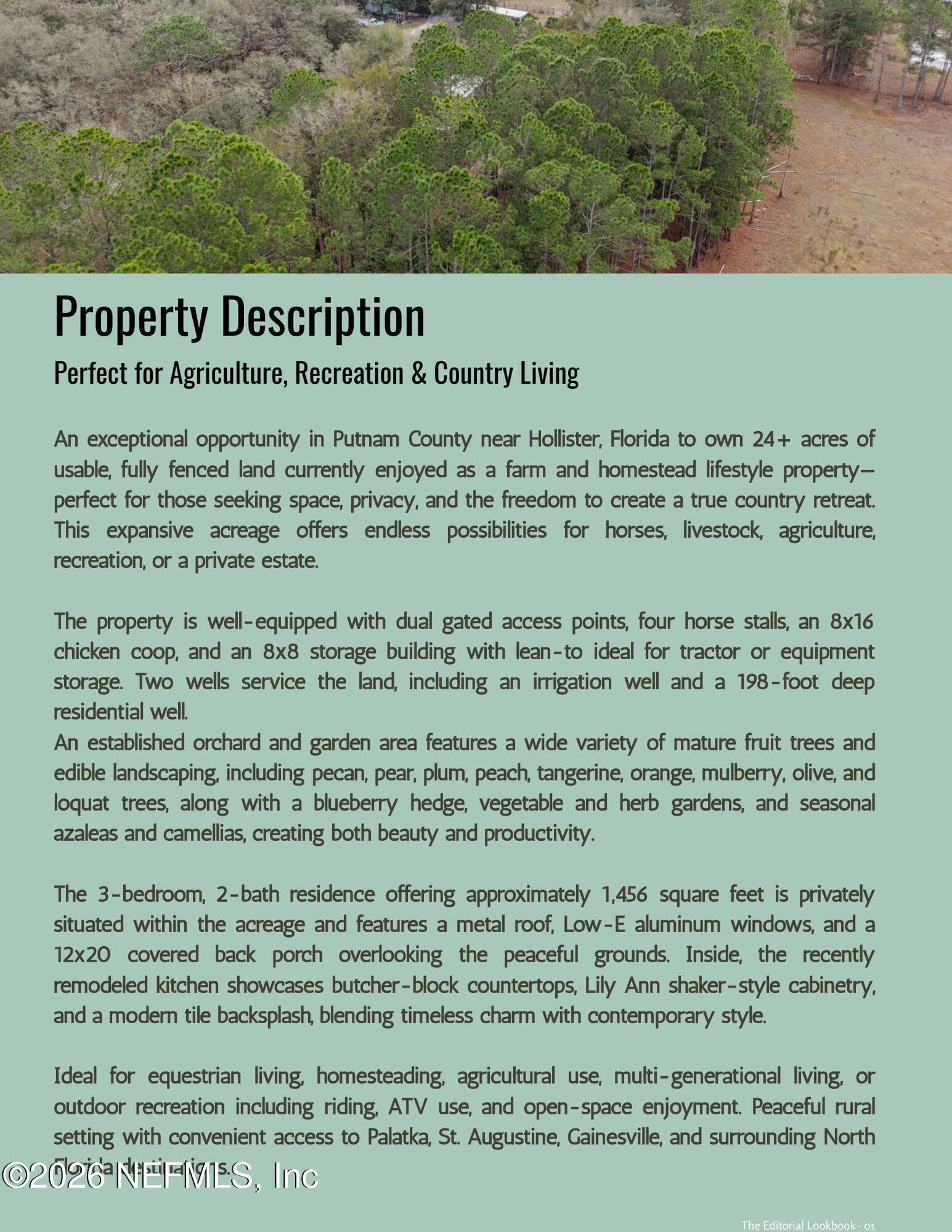 Photo 54 of 118 DARBY Drive, Palatka, FL 32177