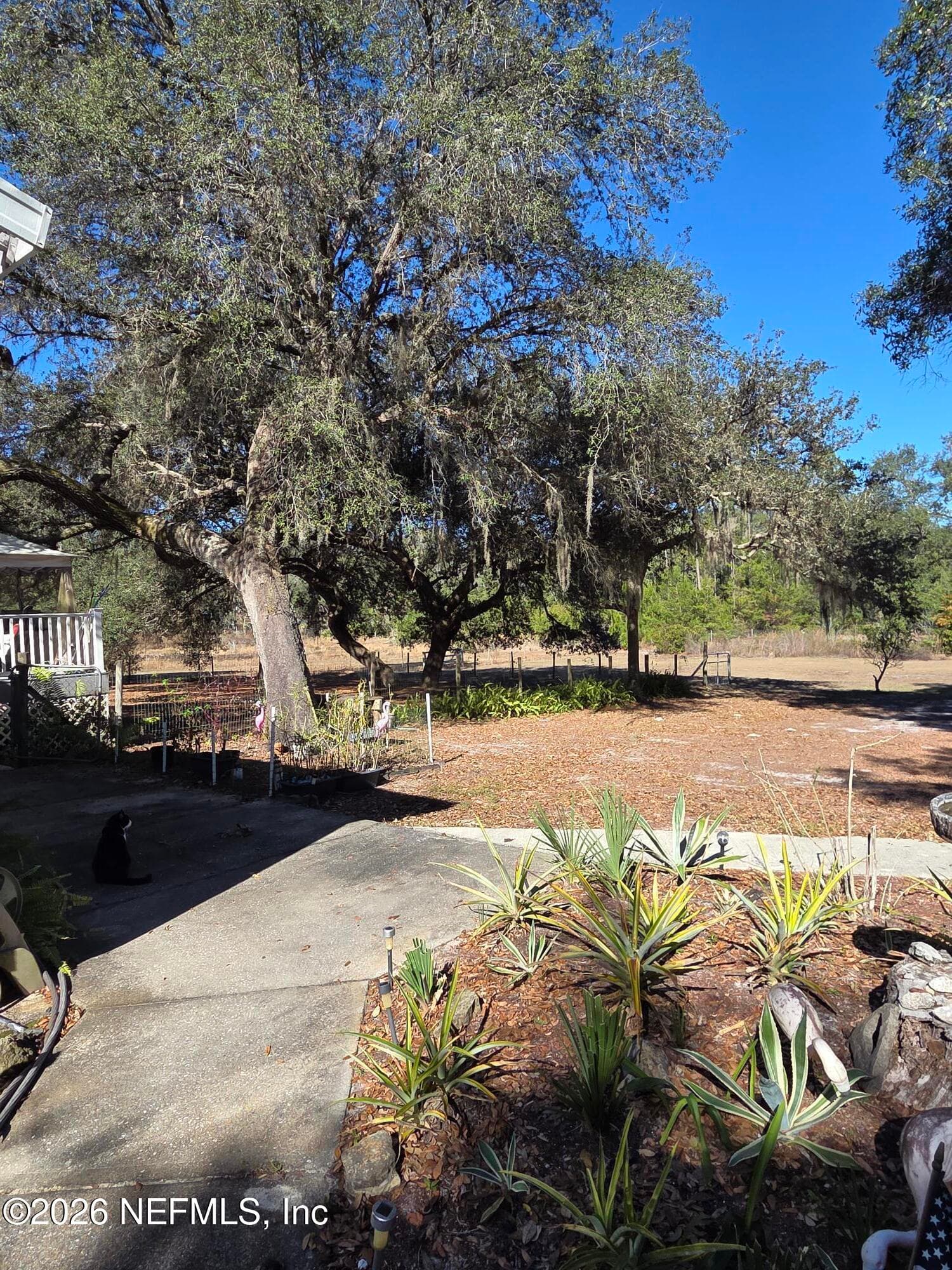 Photo 48 of 249 OLEANDER Street, Pomona Park, FL 32181