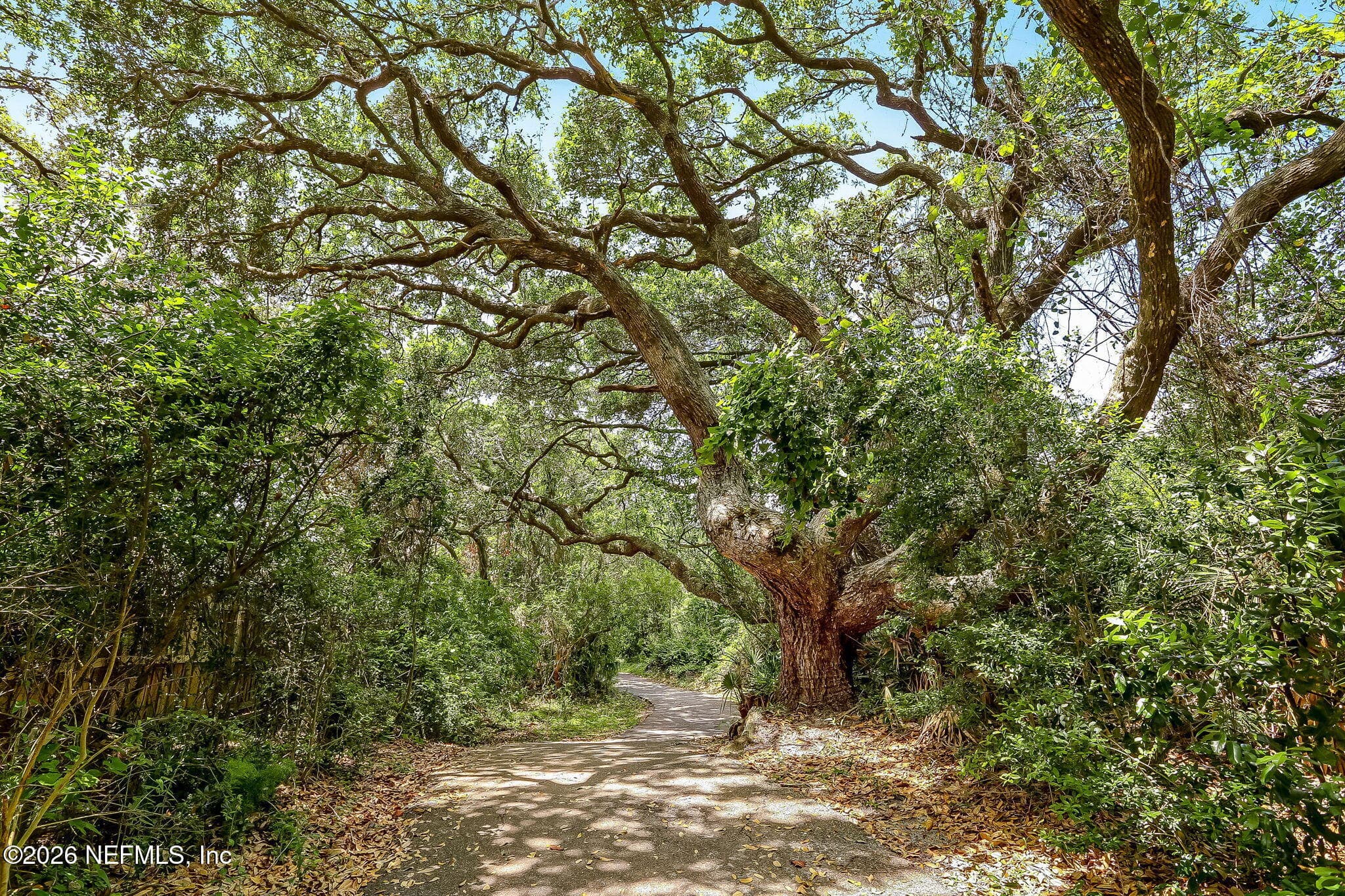Photo 36 of 96119 SYLVESTER Drive, Fernandina Beach, FL 32034