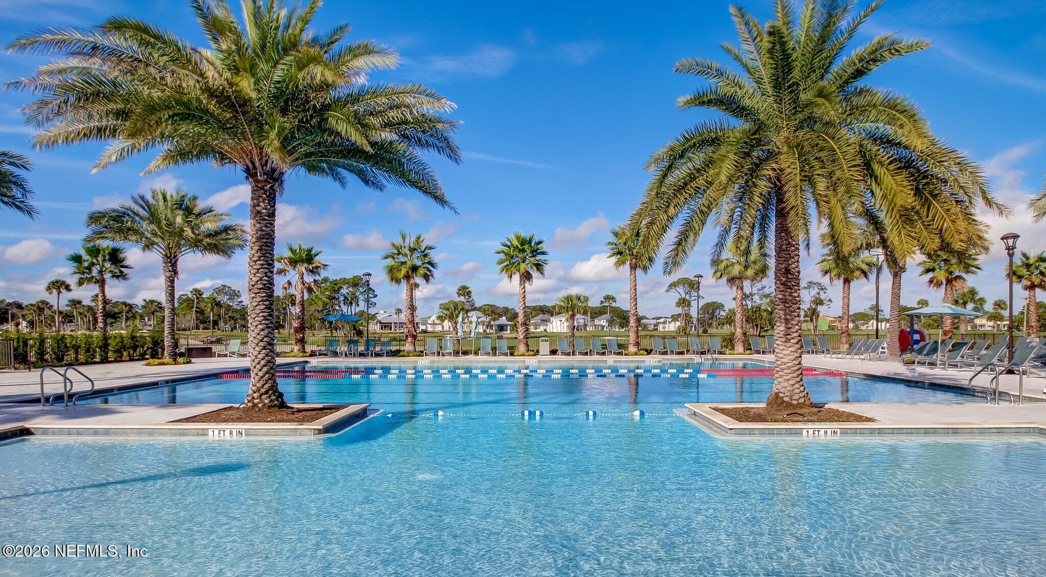 Close view of community pool with palm-lined backdrop. — 568 TIMBER BRIDGE Lane, Atlantic Beach, FL 32233