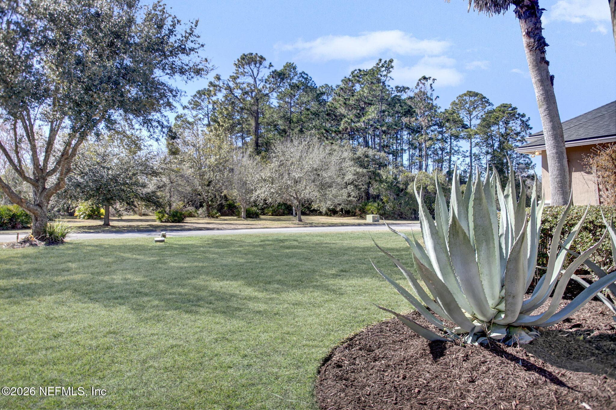 Front Yard With View of Preserve Lot Across The Street — 3576 BARTON CREEK Circle, Green Cove Springs, FL 32043