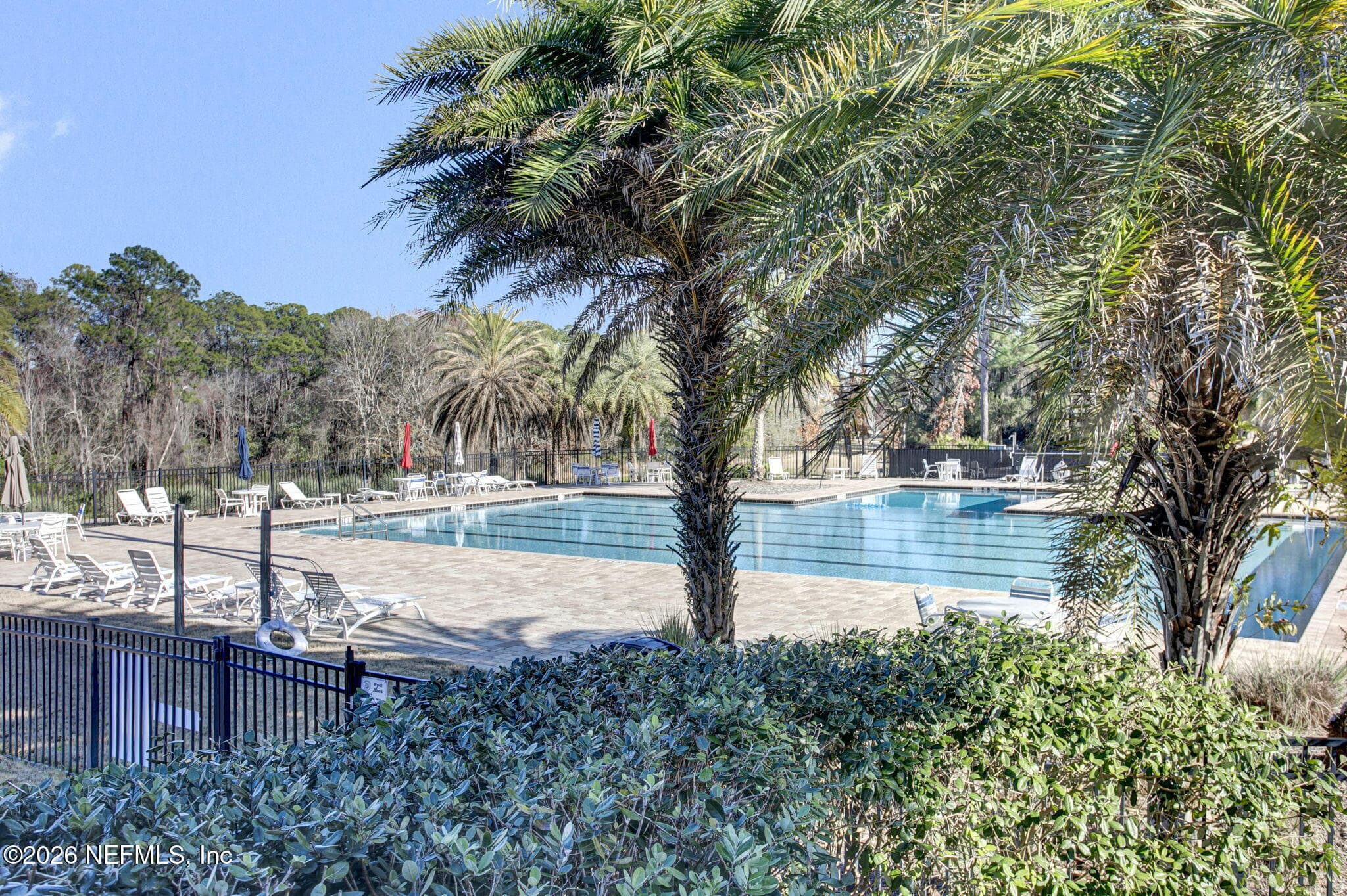 Pool View 3 — 3576 BARTON CREEK Circle, Green Cove Springs, FL 32043