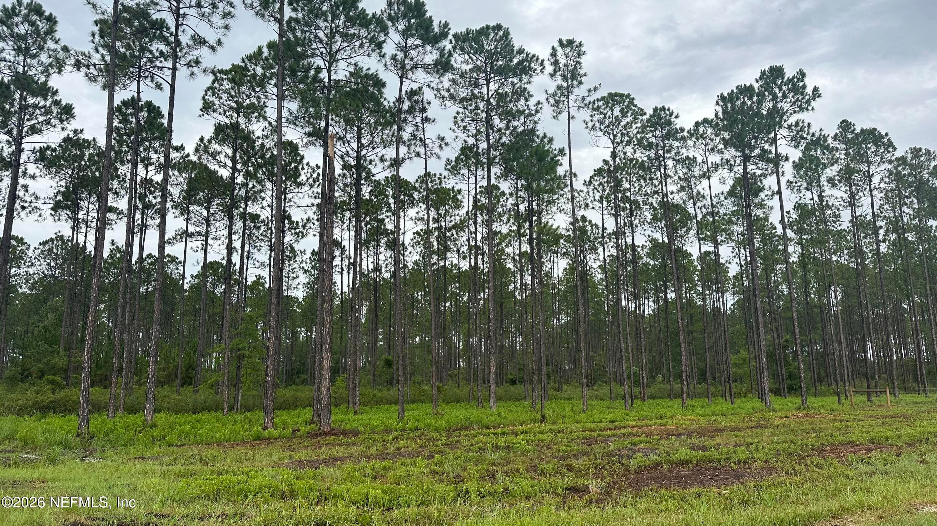 Photo 6 of 0 US HIGHWAY 301, Bryceville, FL 32209