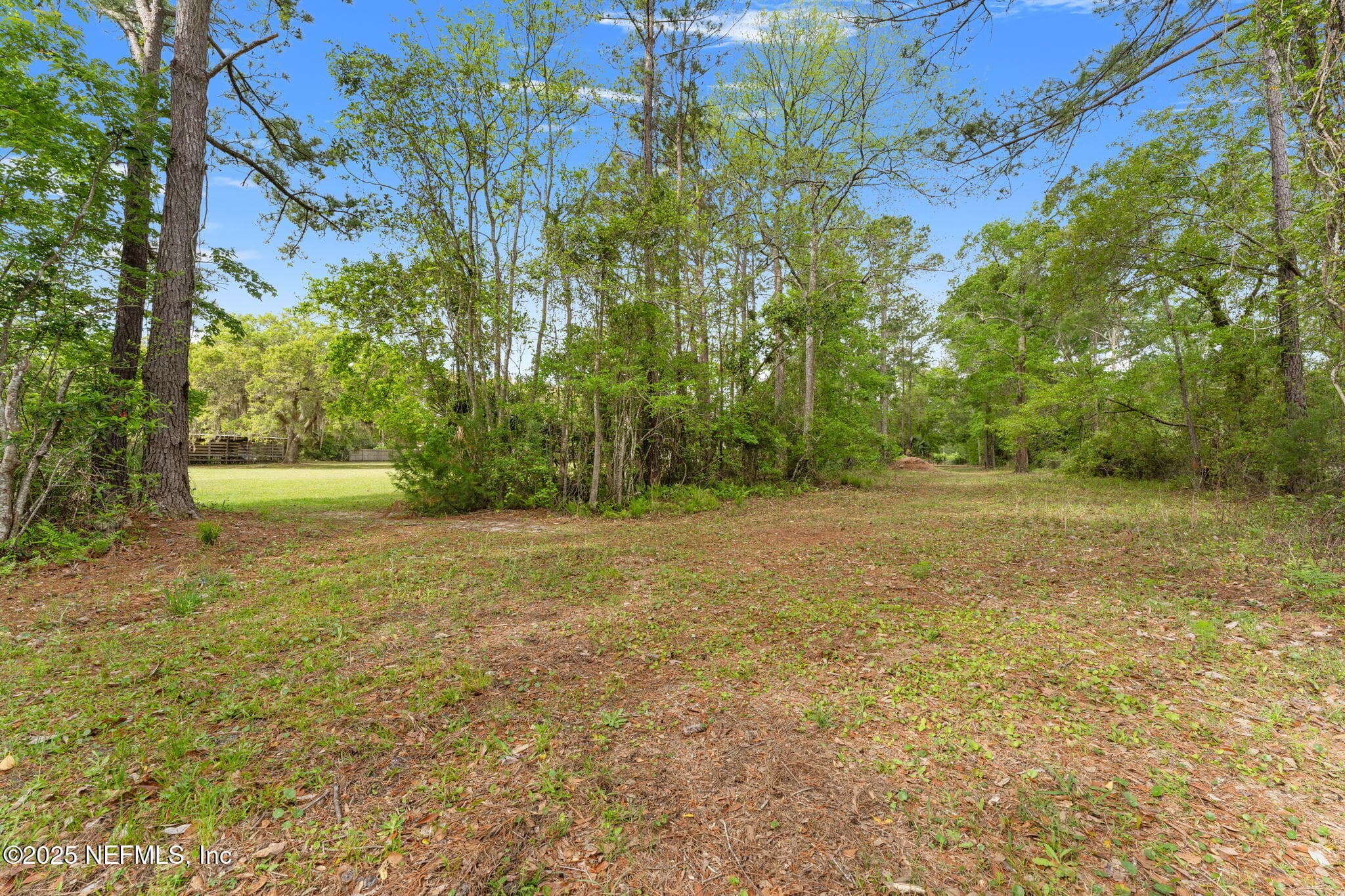 Photo 52 of 12869 BONEY Road, Jacksonville, FL 32226
