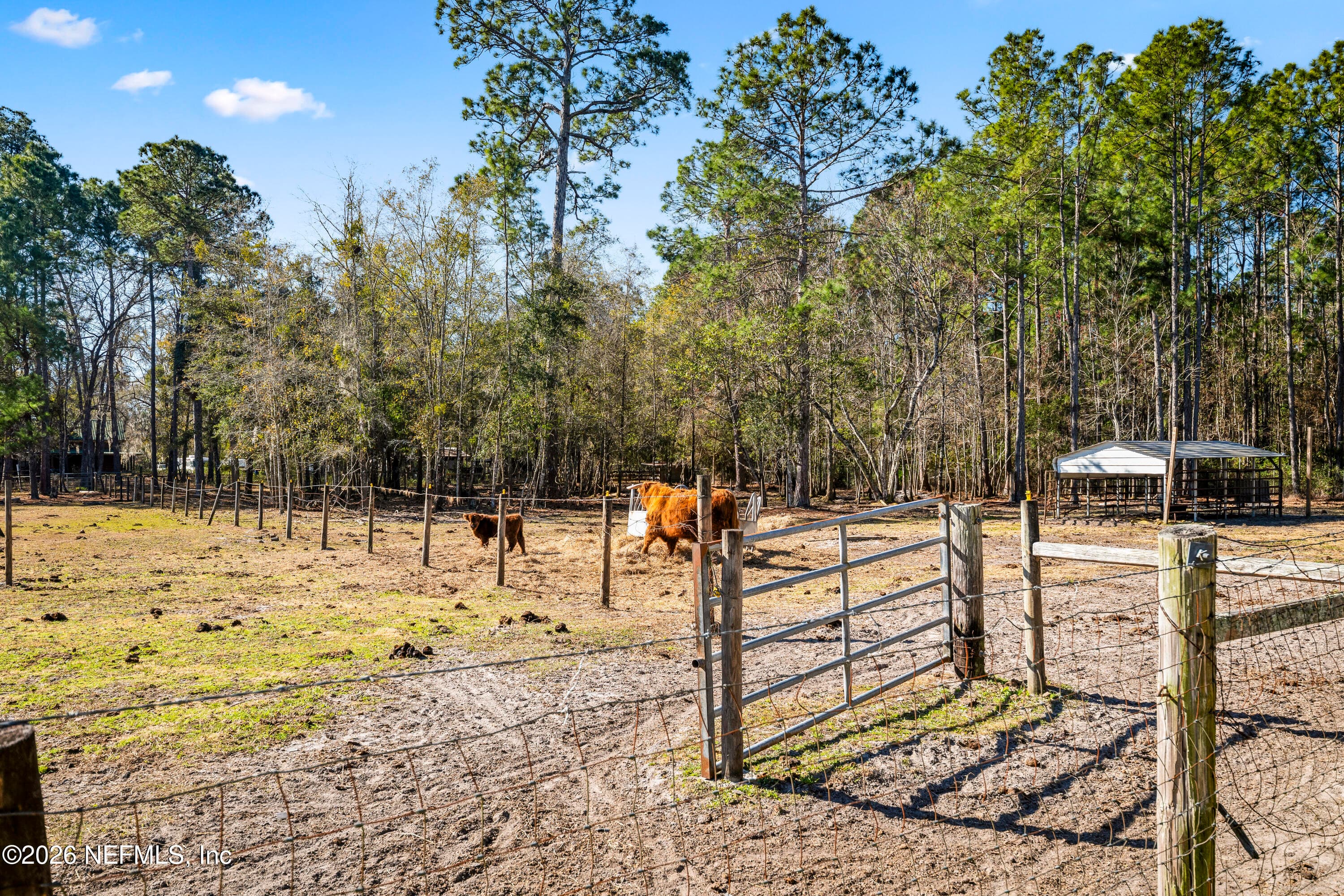 Photo 5 of 1725 DAVIDSON FARM Road, Jacksonville, FL 32218