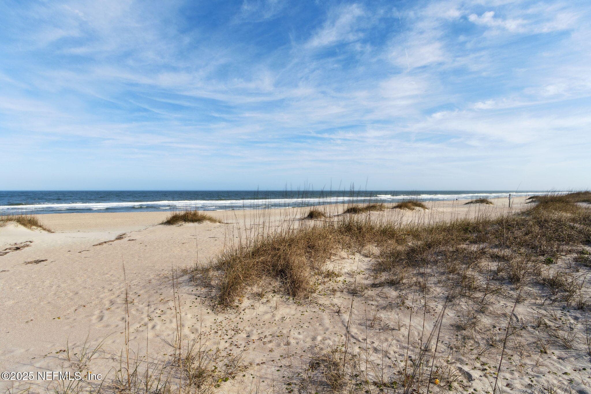 ... and heavily populated or vehicle-allowed areas ... — 822 S FLETCHER Avenue, Fernandina Beach, FL 32034