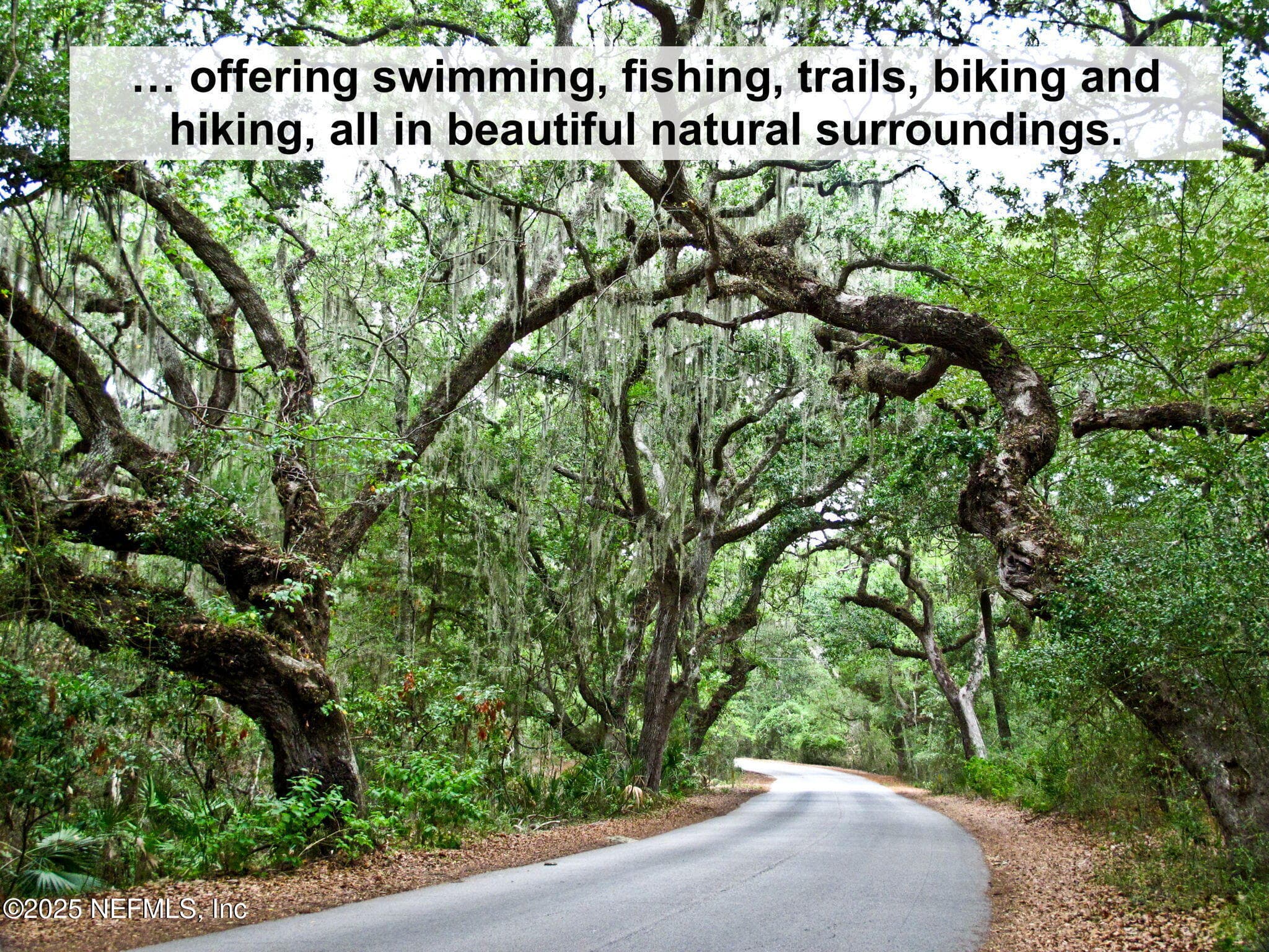 ... offering miles of nature filled trails and shoreline for outdoor and wildlife enthusiasts. — 822 S FLETCHER Avenue, Fernandina Beach, FL 32034