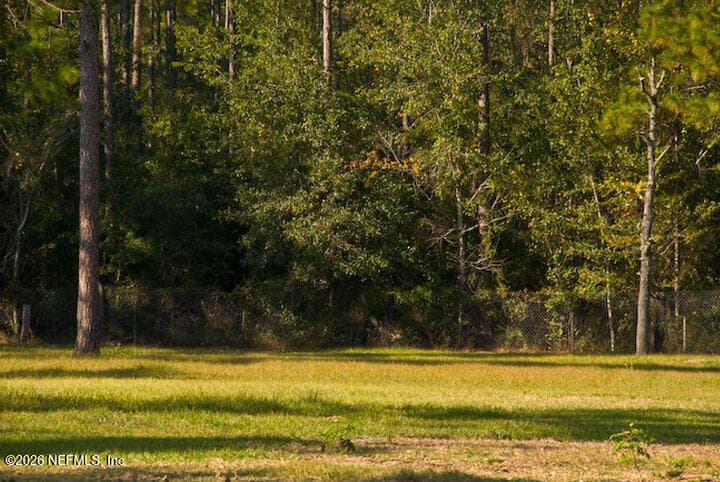 Back of Property is wooded private and serene — 3760 OLD JENNINGS Road B, Middleburg, FL 32068