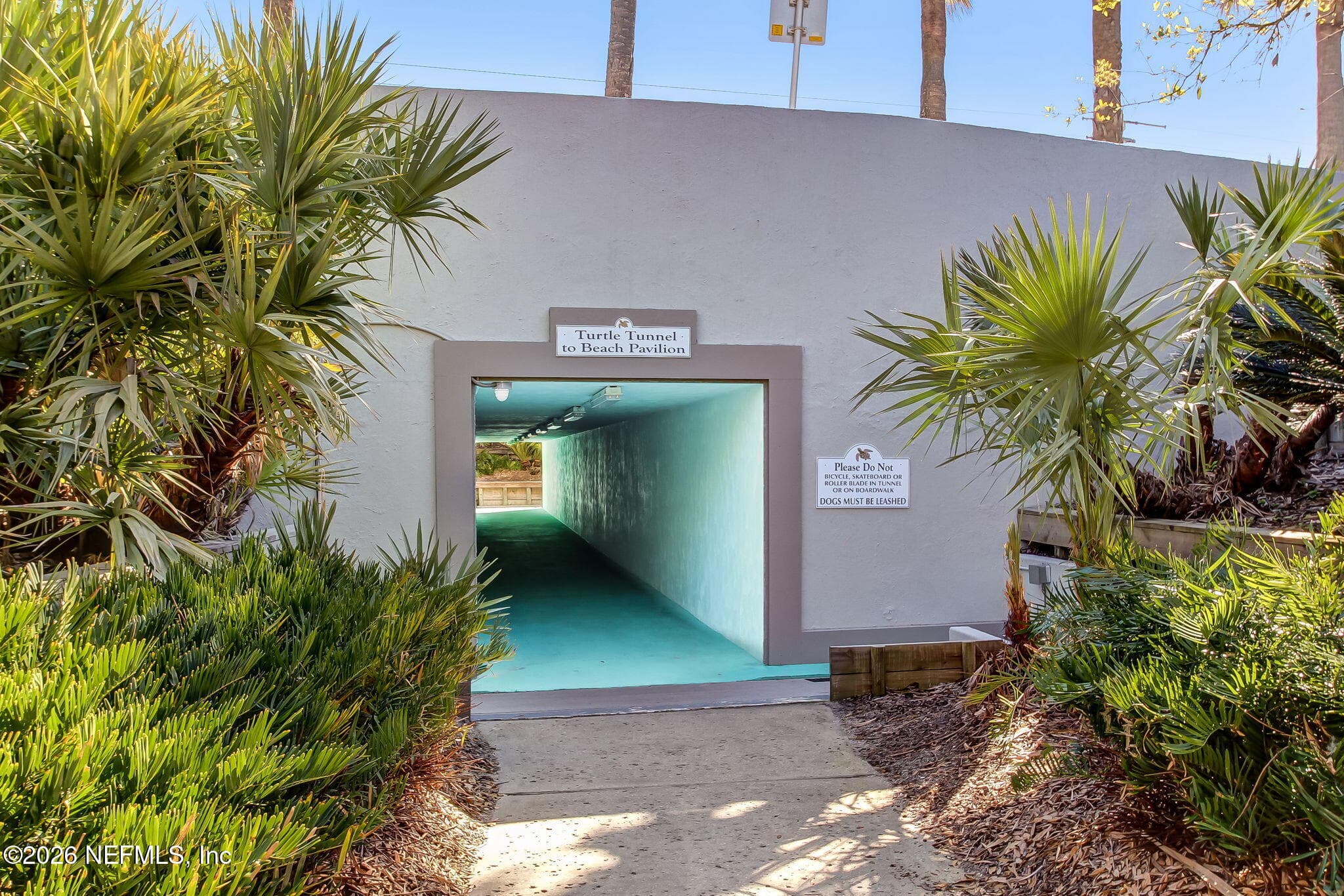 Turtle Tunnel — 1351 TURTLE DUNES Court, Ponte Vedra Beach, FL 32082