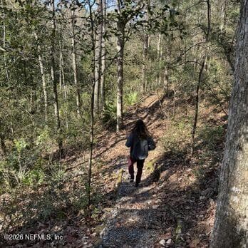 Jennings State Forest Hiking Trails — 3760 OLD JENNINGS Road, Middleburg, FL 32068