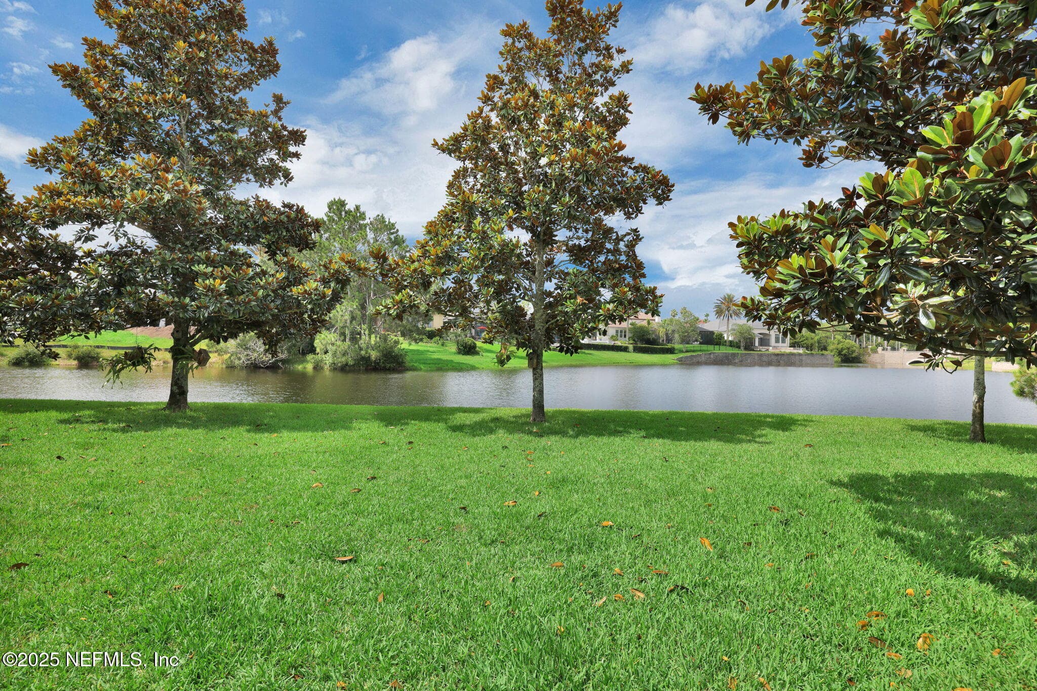 Photo 41 of 159 LA MESA Drive, St. Augustine, FL 32095