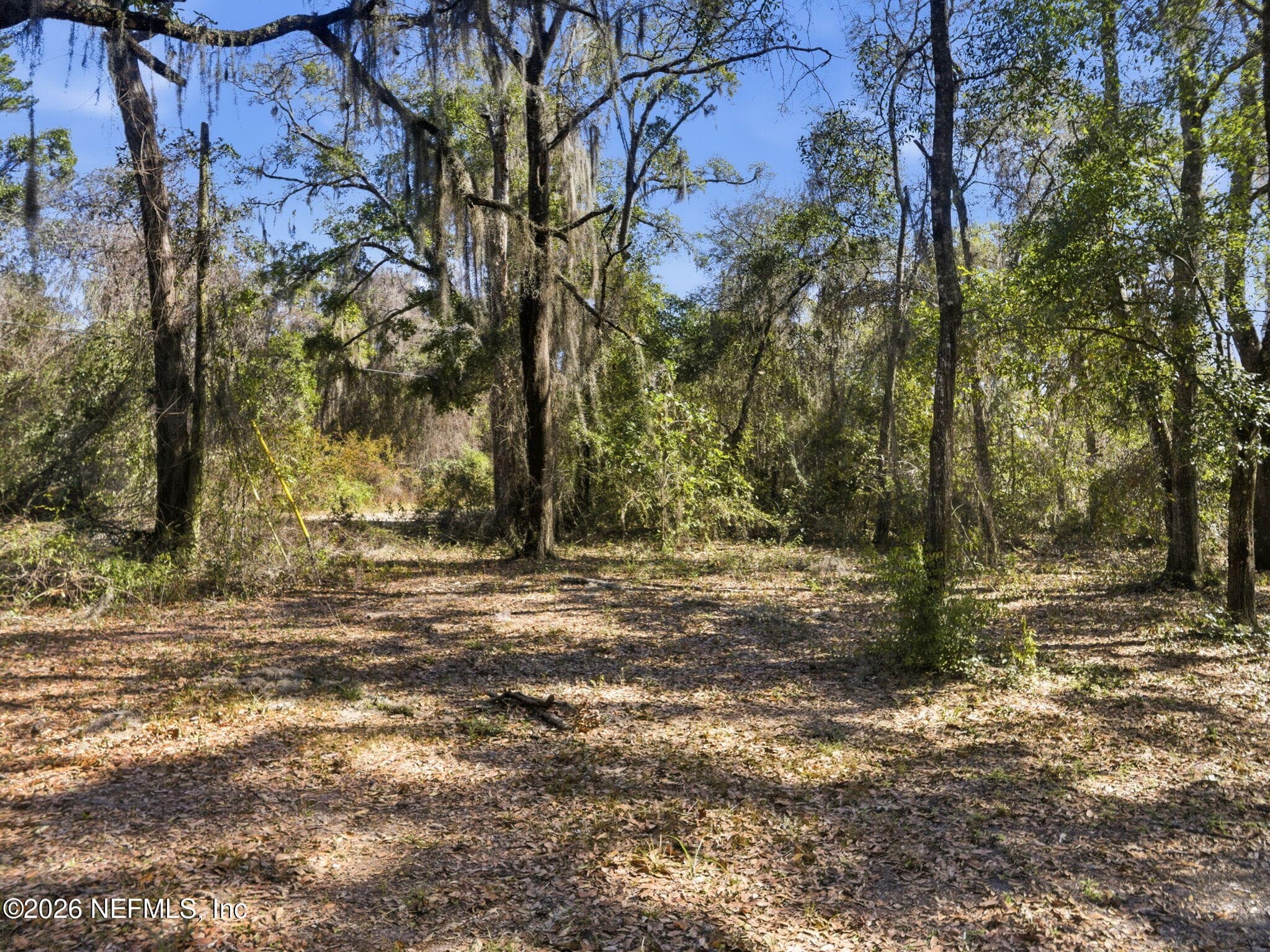 Photo 39 of 6930 COUNTY ROAD 214, Melrose, FL 32666