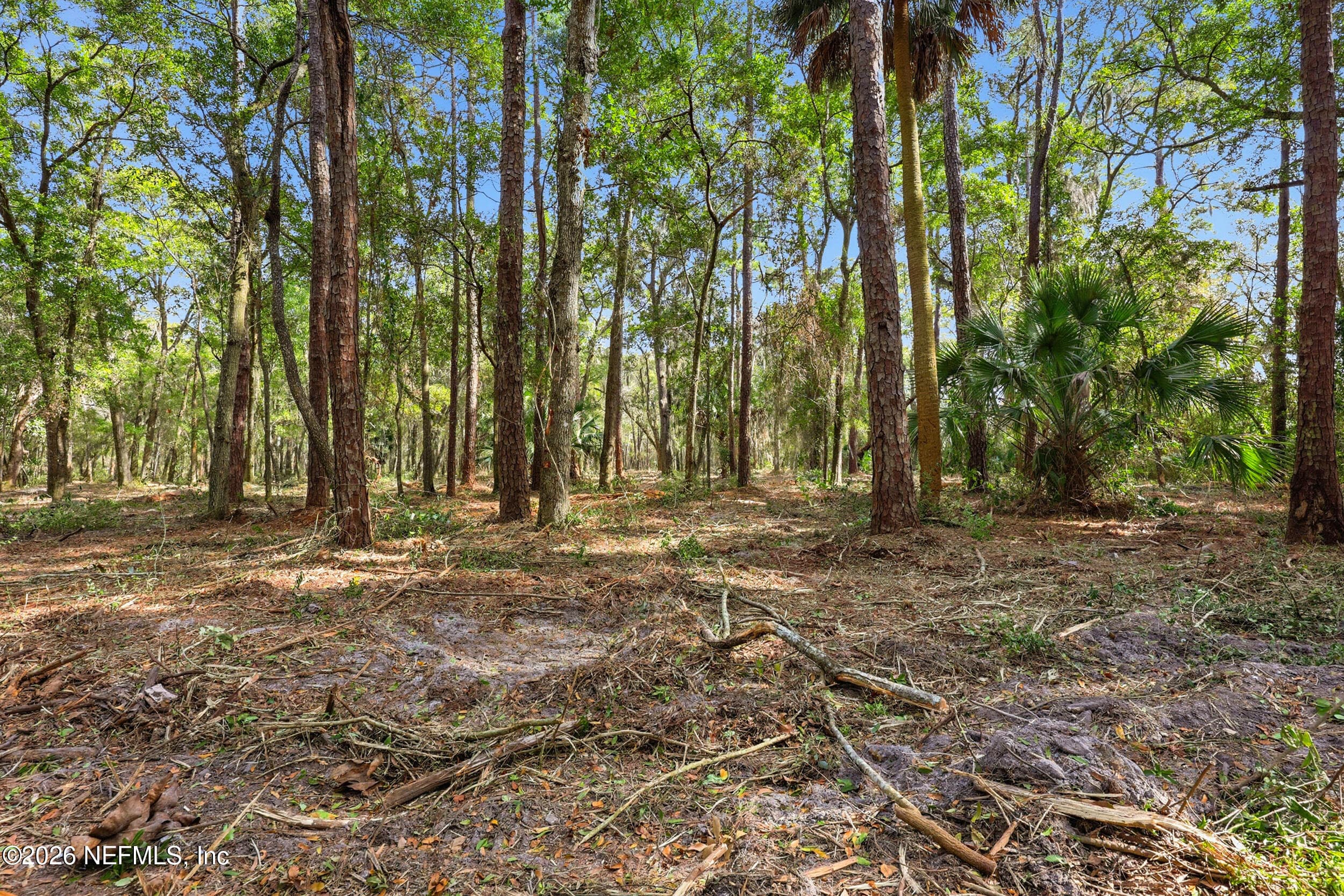 Entrance to property, where future entrance gate and road will begin. — 3 QUINLAN RIDGE Lane E, Jacksonville, FL 32225