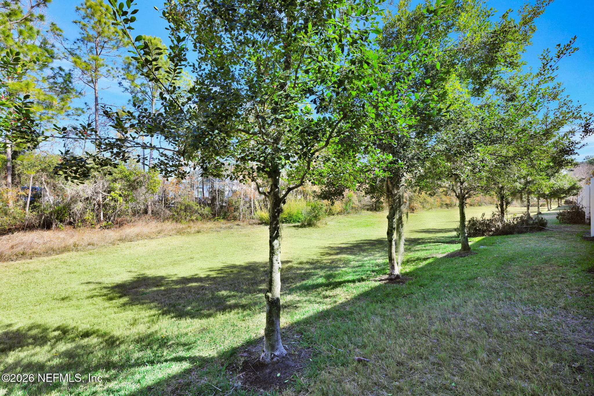 Backyard — 191 ADELANTO Avenue, St. Augustine, FL 32092
