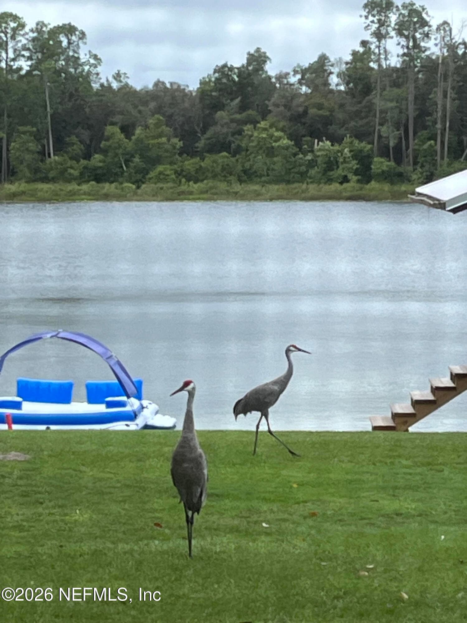Photo 59 of 107 CHURCH LAKE Drive, Interlachen, FL 32148