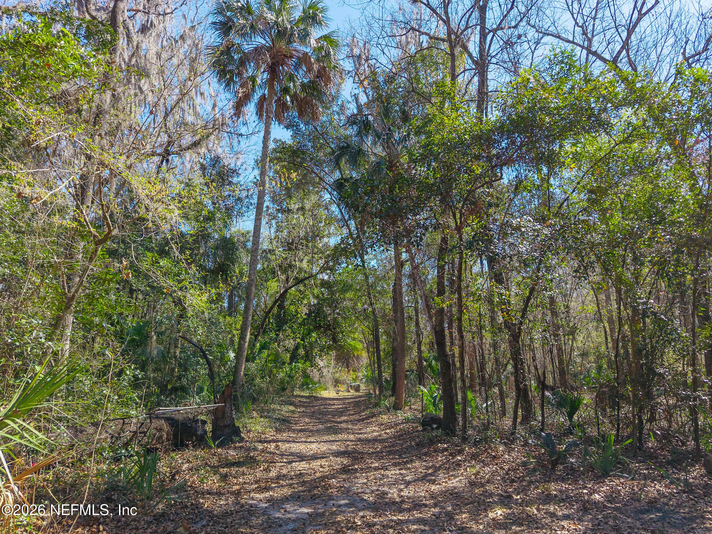 Photo 8 of 121 & 125 PANTHER Trail, Palatka, FL 32177