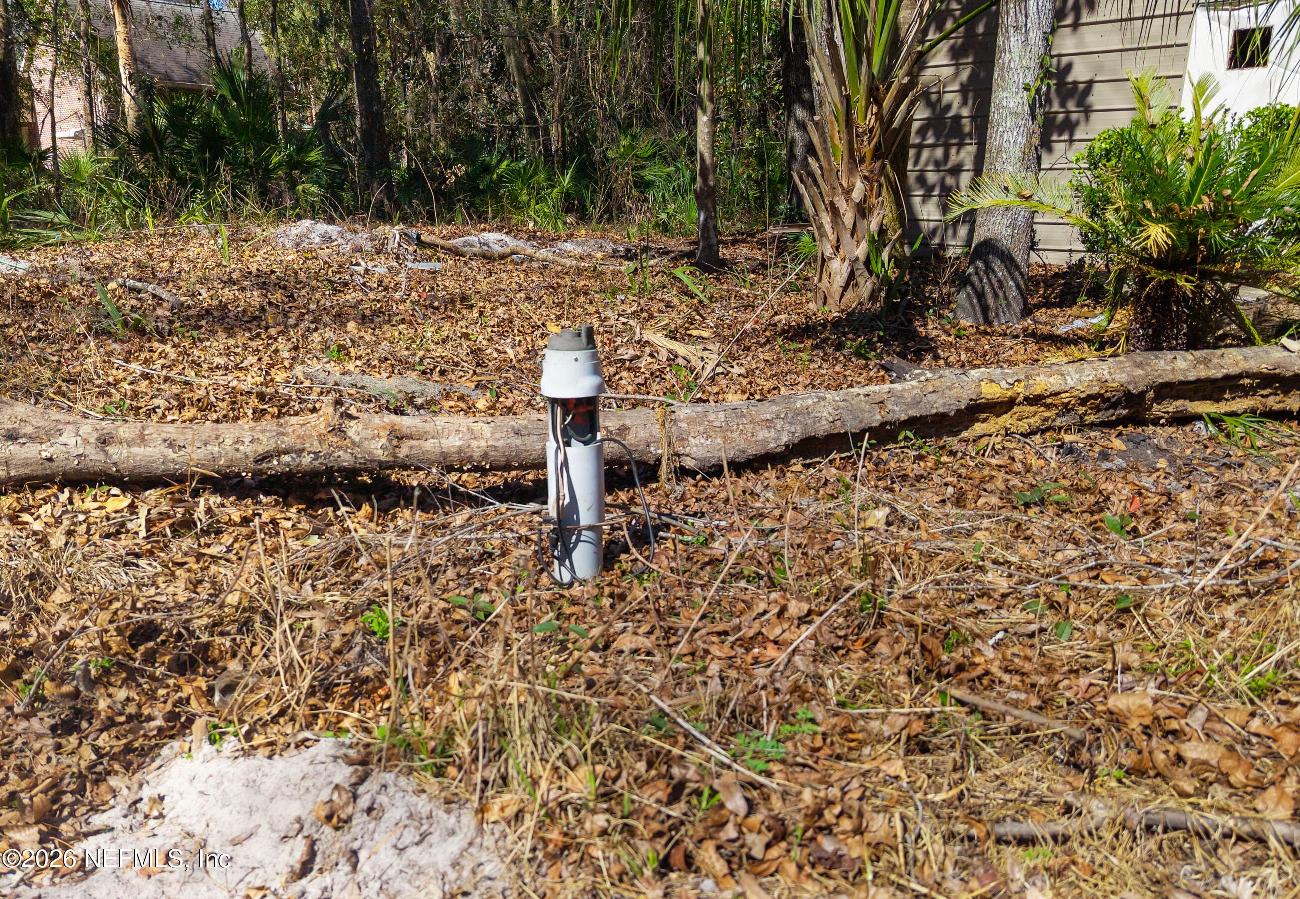 Photo 11 of 121 & 125 PANTHER Trail, Palatka, FL 32177
