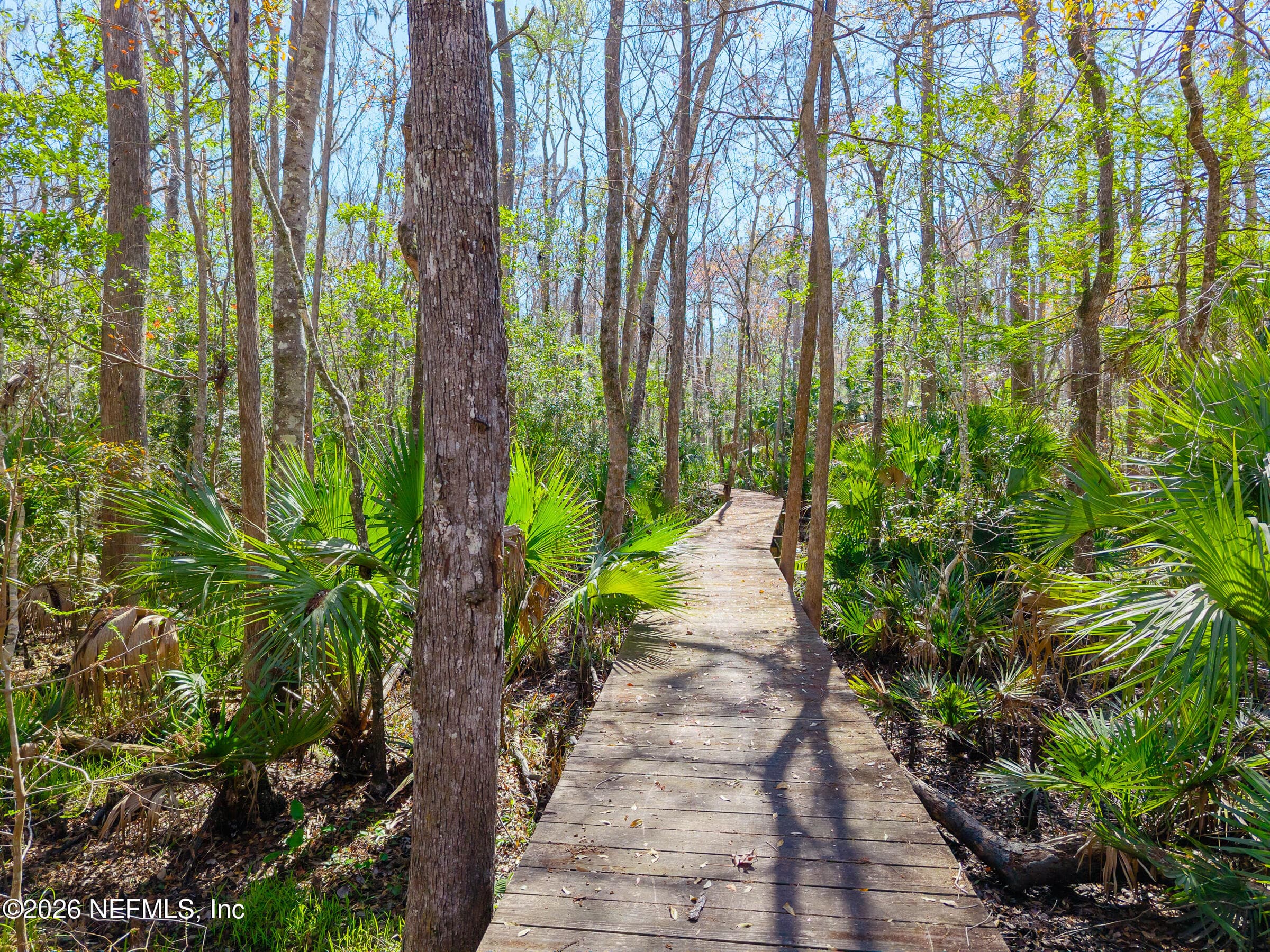 Photo 19 of 121 & 125 PANTHER Trail, Palatka, FL 32177
