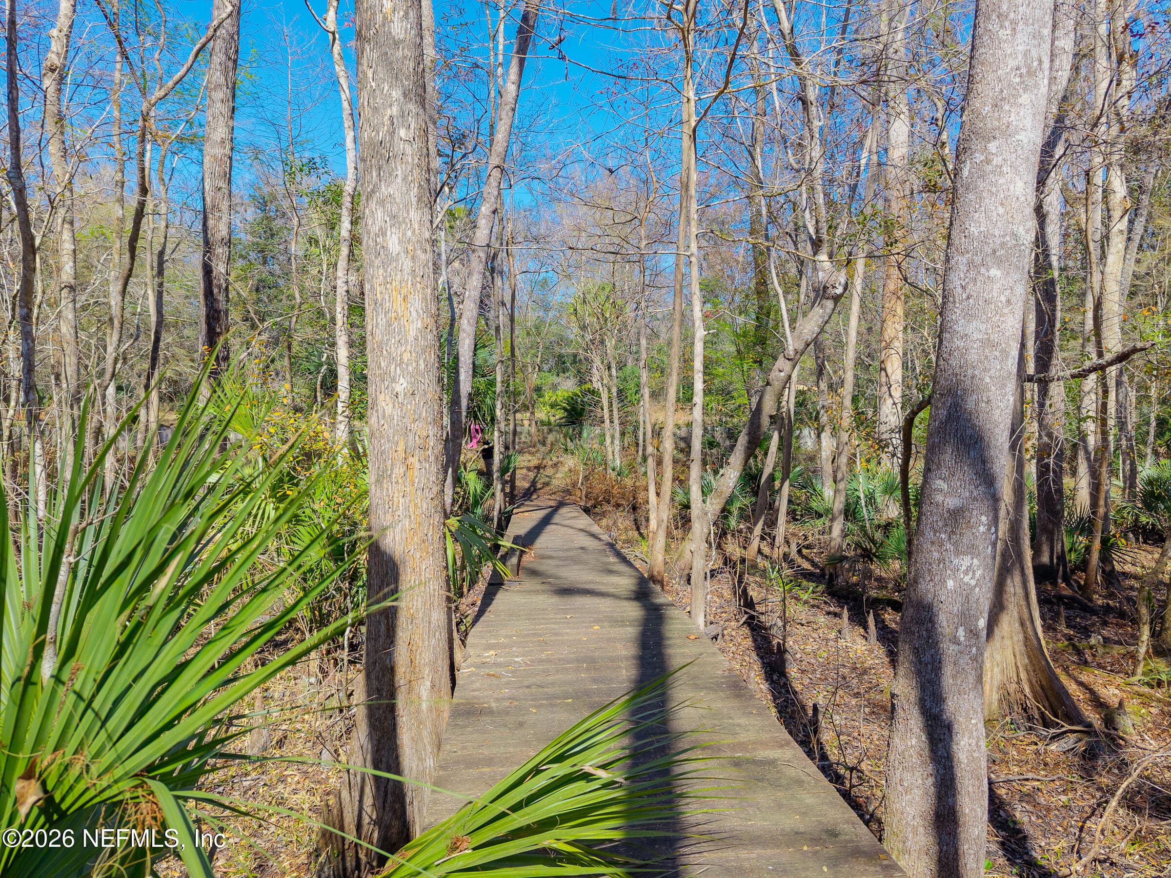 Photo 20 of 121 & 125 PANTHER Trail, Palatka, FL 32177
