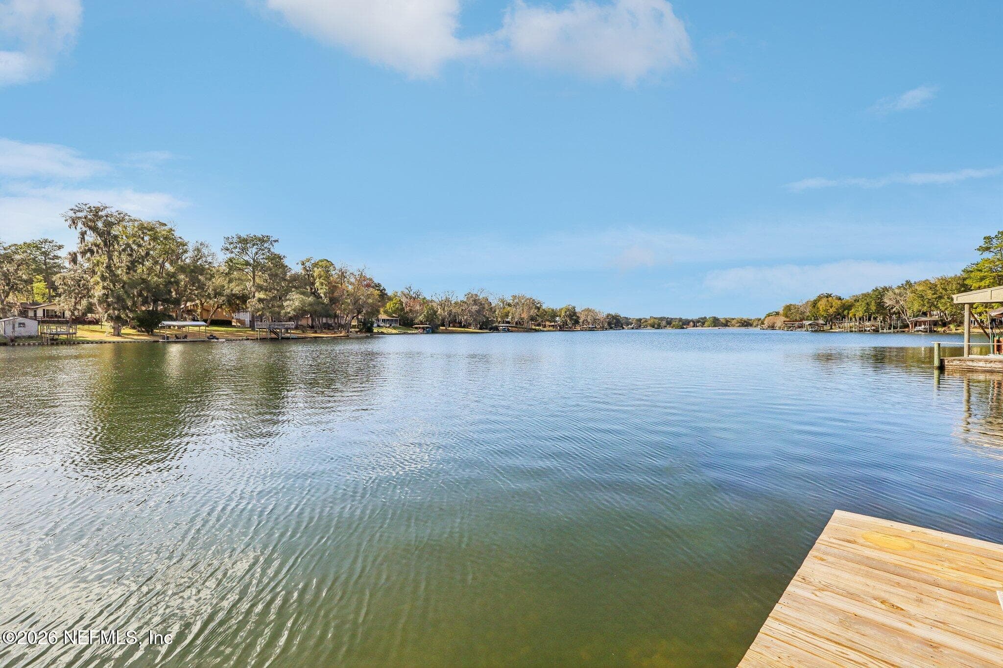 Photo 56 of 244 JESSIE LEE Court, Green Cove Springs, FL 32043