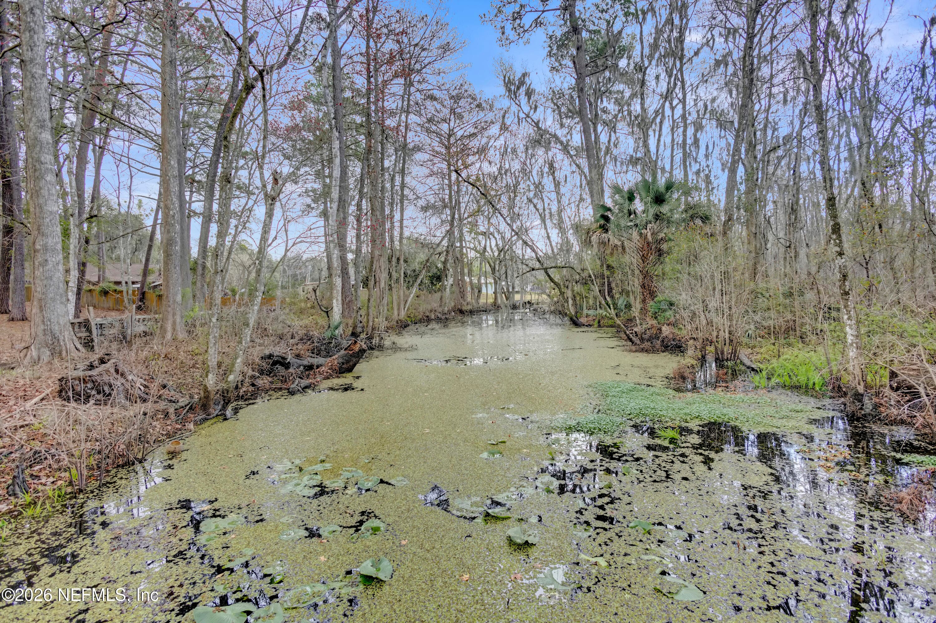 Photo 131 of 1387 HEATH Road, Green Cove Springs, FL 32043