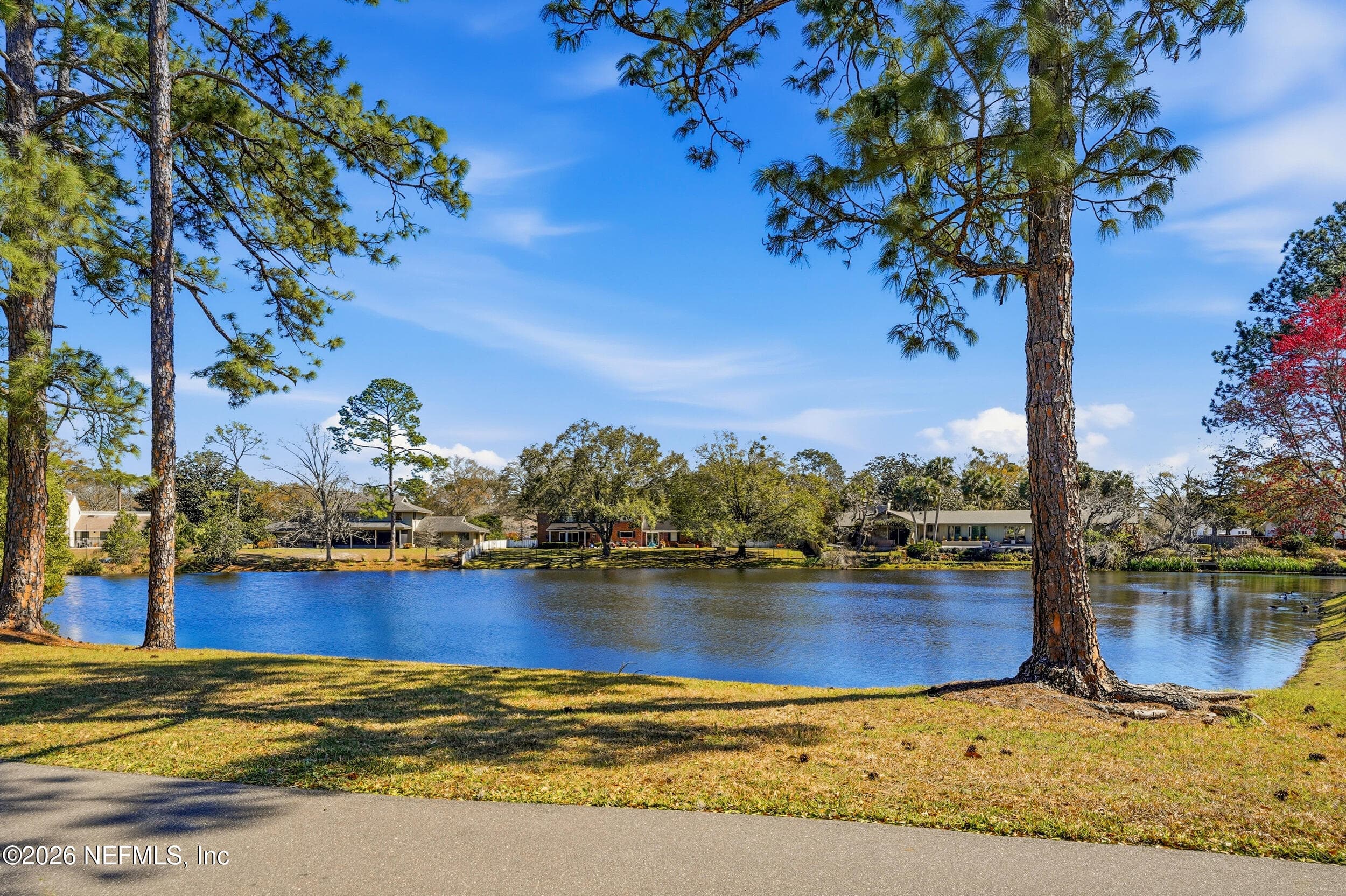 Photo 50 of 7946 QUAILWOOD Drive, Jacksonville, FL 32256