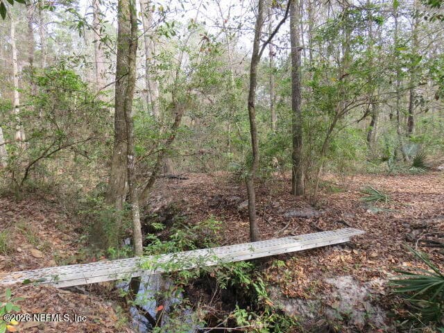 Photo 60 of 4564 CRAZY HORSE Avenue B, Middleburg, FL 32068