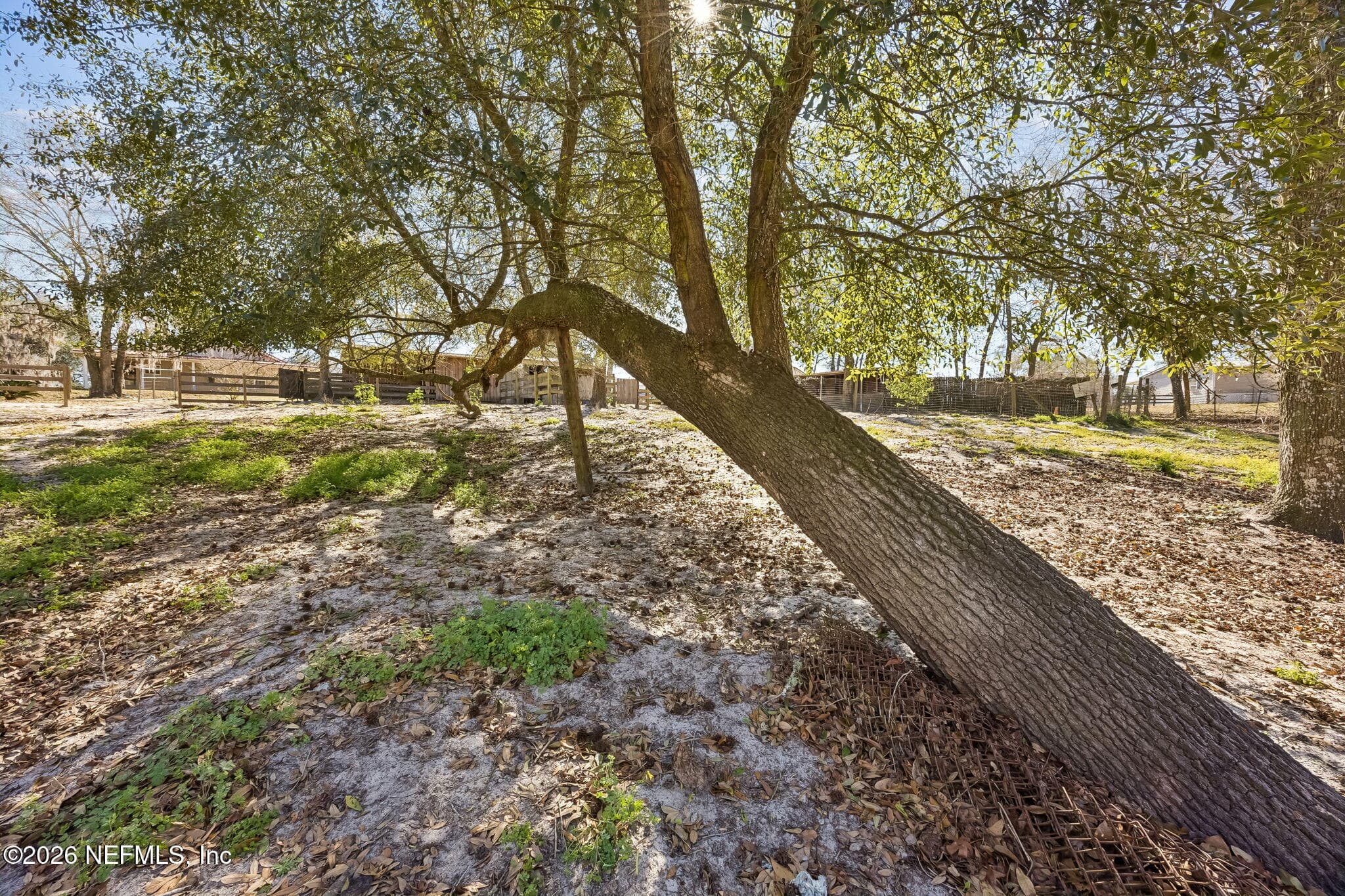 Photo 54 of 4564 CRAZY HORSE Avenue B, Middleburg, FL 32068