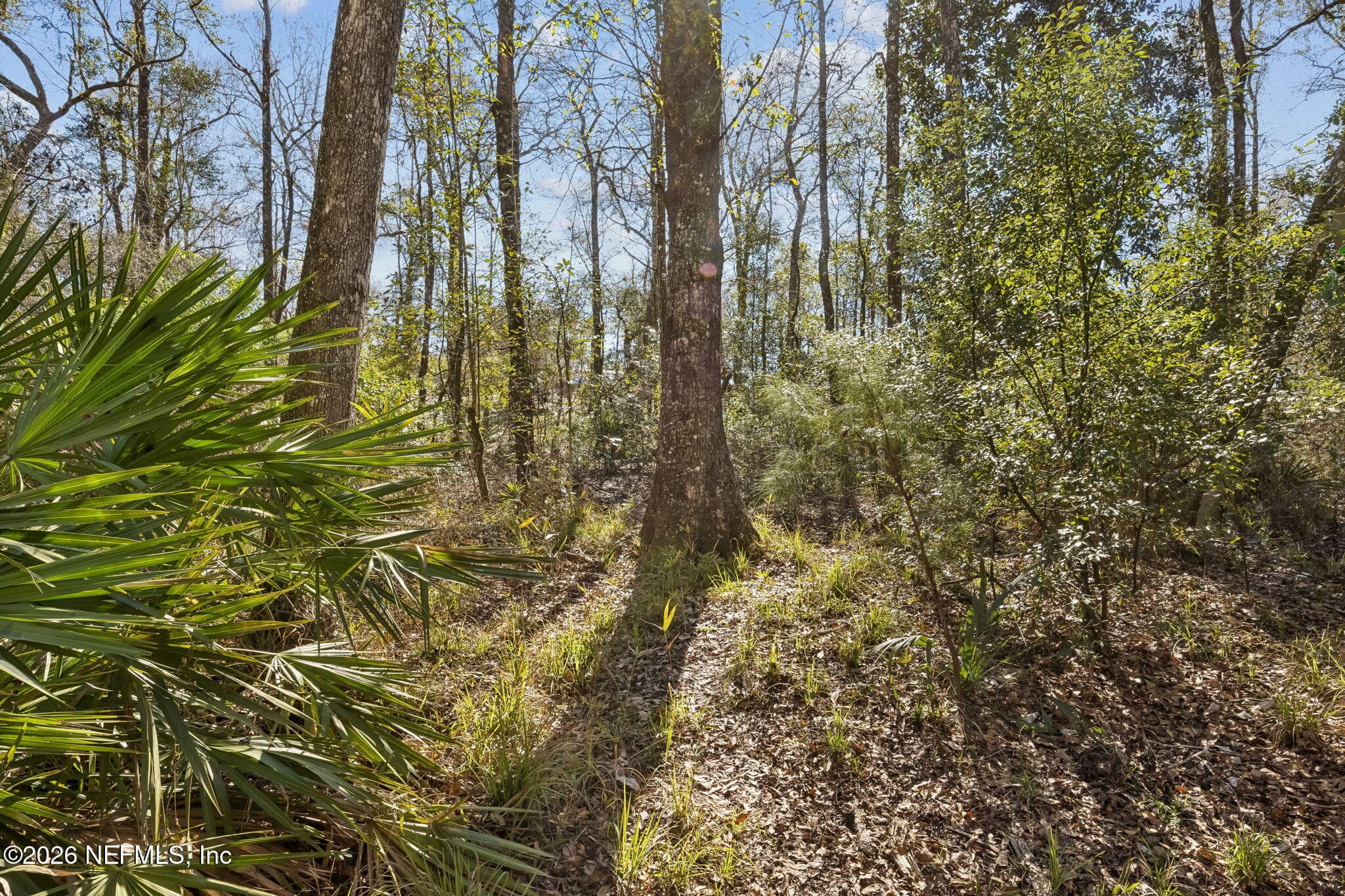 Photo 63 of 4564 CRAZY HORSE Avenue B, Middleburg, FL 32068