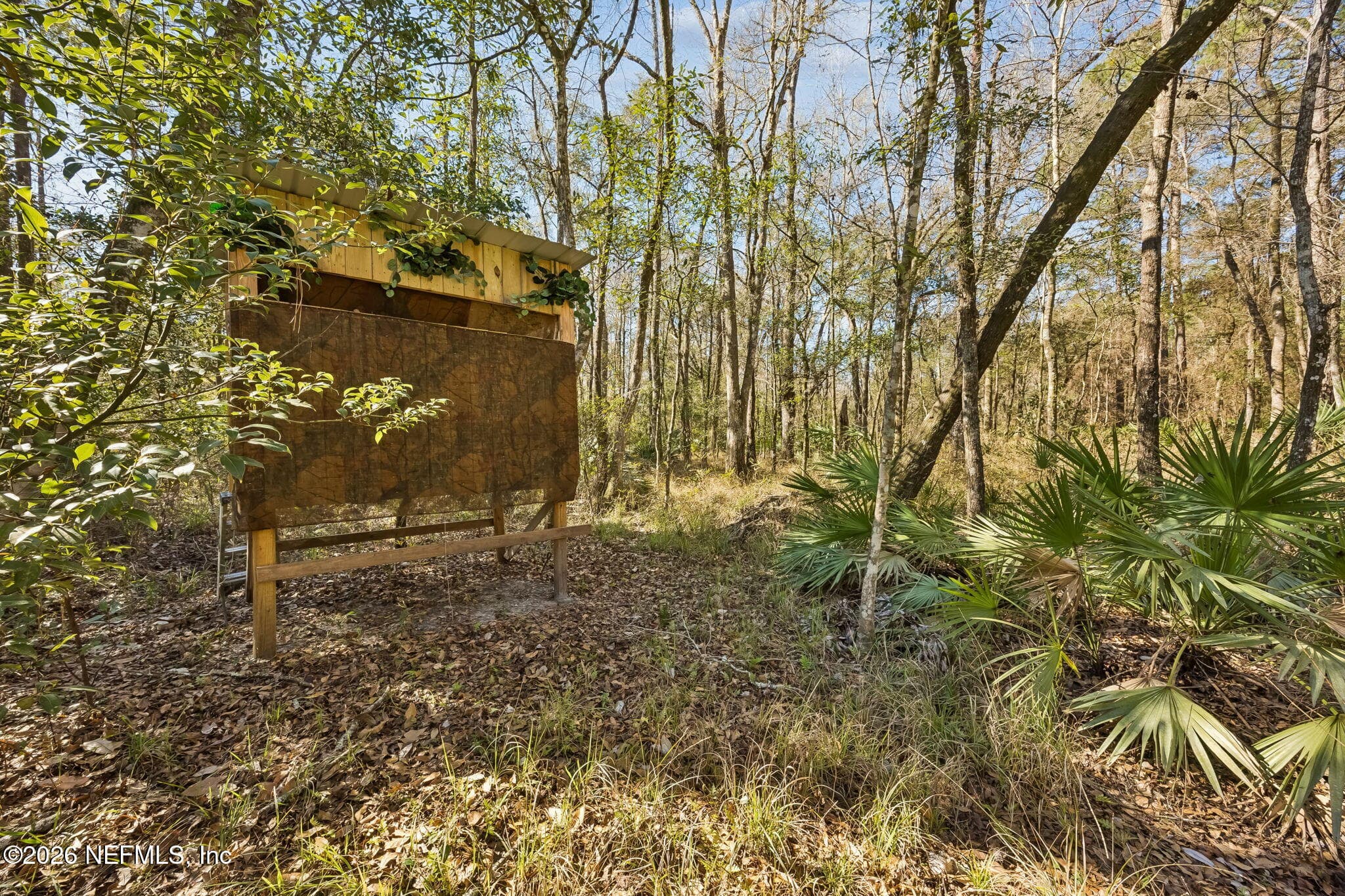Photo 62 of 4564 CRAZY HORSE Avenue B, Middleburg, FL 32068