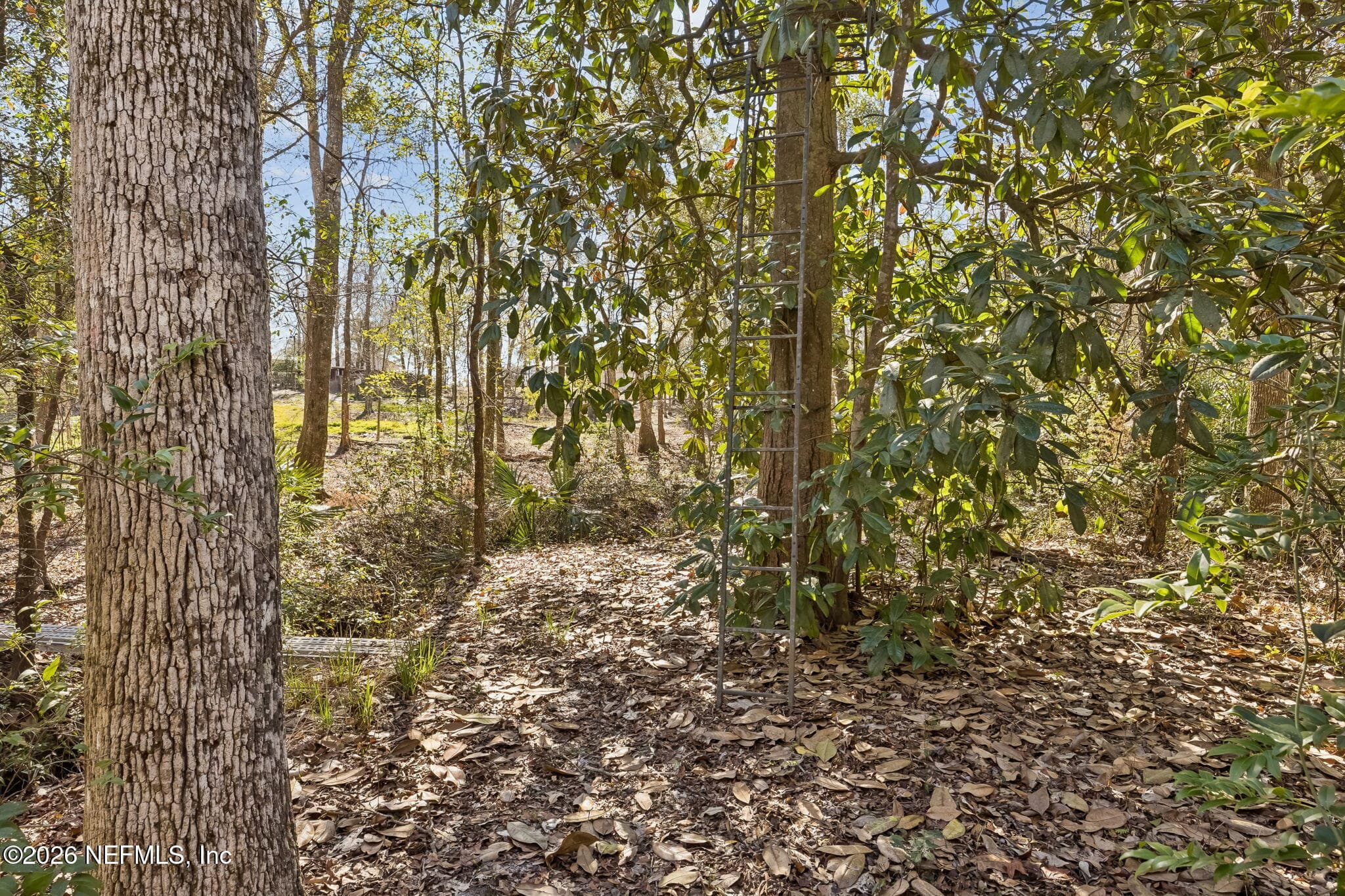 Photo 65 of 4564 CRAZY HORSE Avenue B, Middleburg, FL 32068
