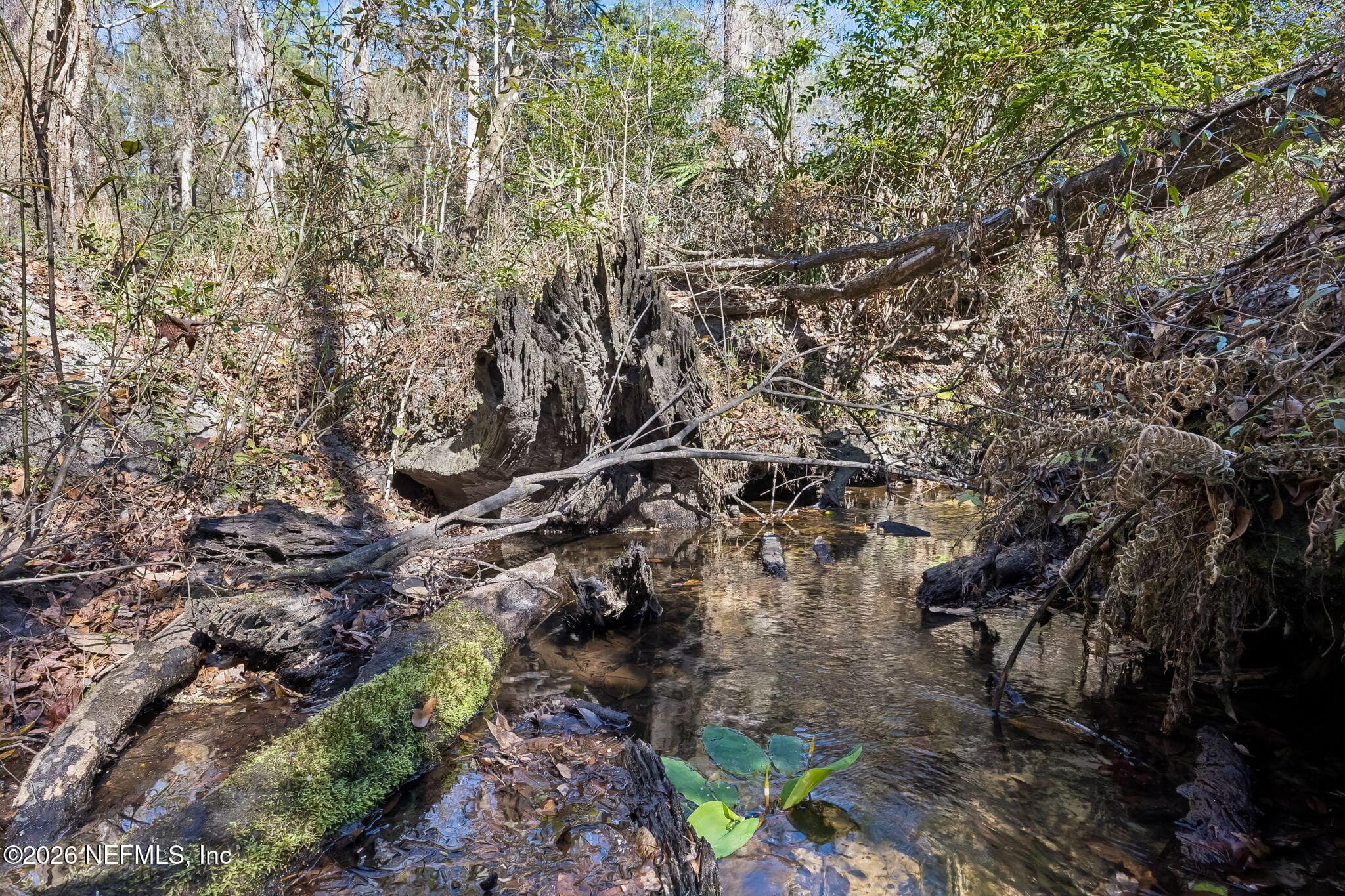 Photo 67 of 4564 CRAZY HORSE Avenue B, Middleburg, FL 32068