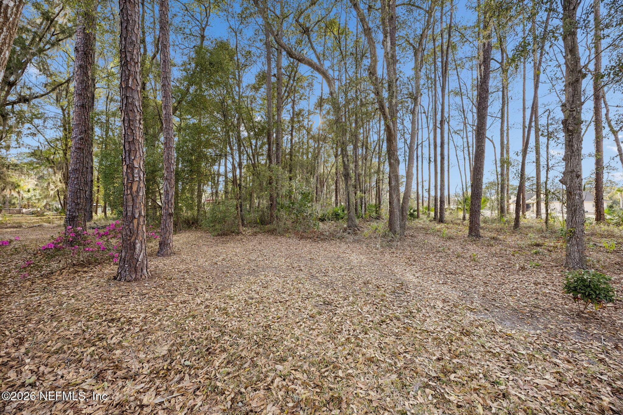 Photo 51 of 283 ESTATES Drive, Palatka, FL 32177