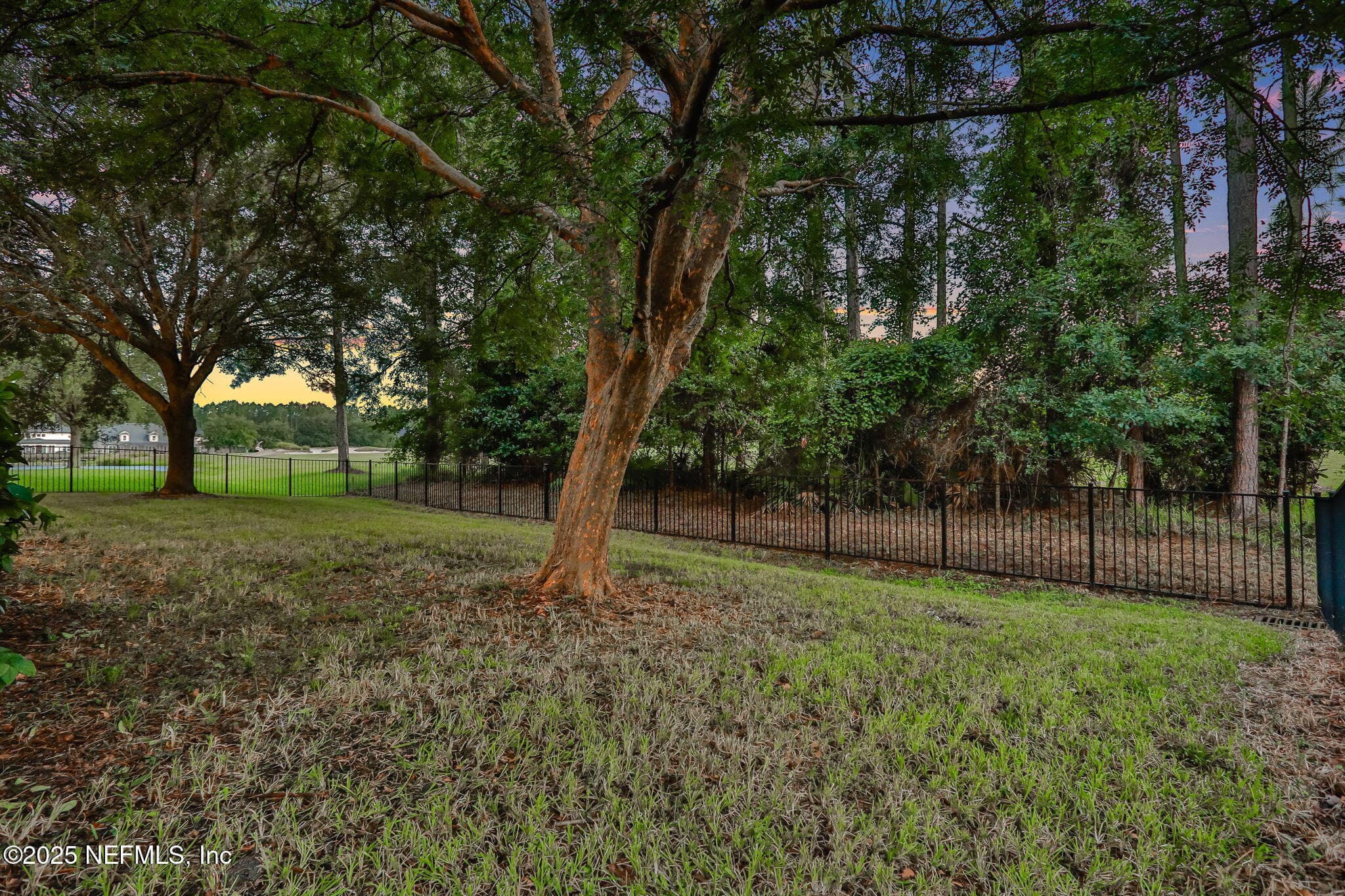 Photo 67 of 1799 WILD DUNES Circle, Orange Park, FL 32065