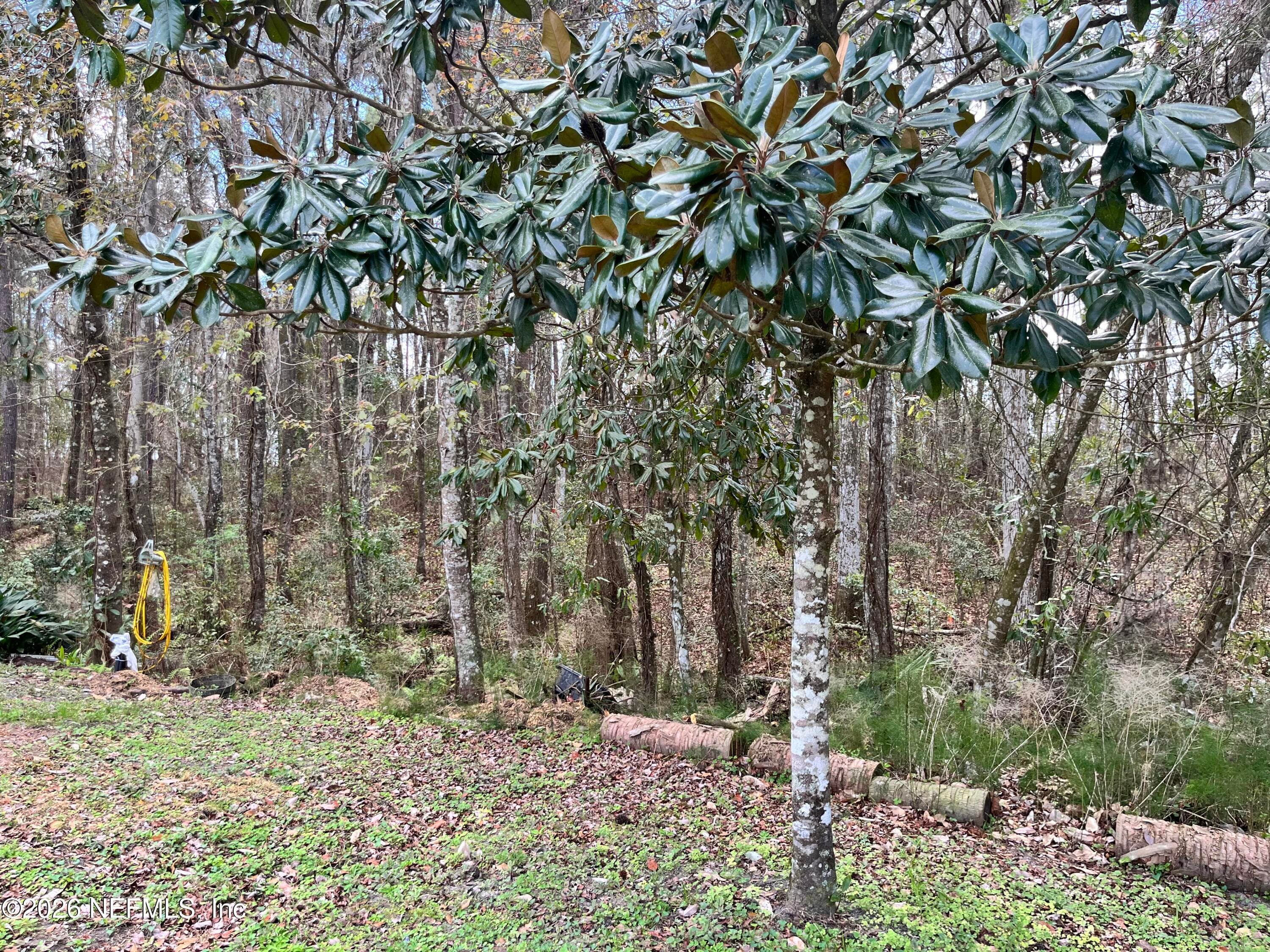 Photo 7 of 5608 W COUNTY ROAD 240, Lake Butler, FL 32054