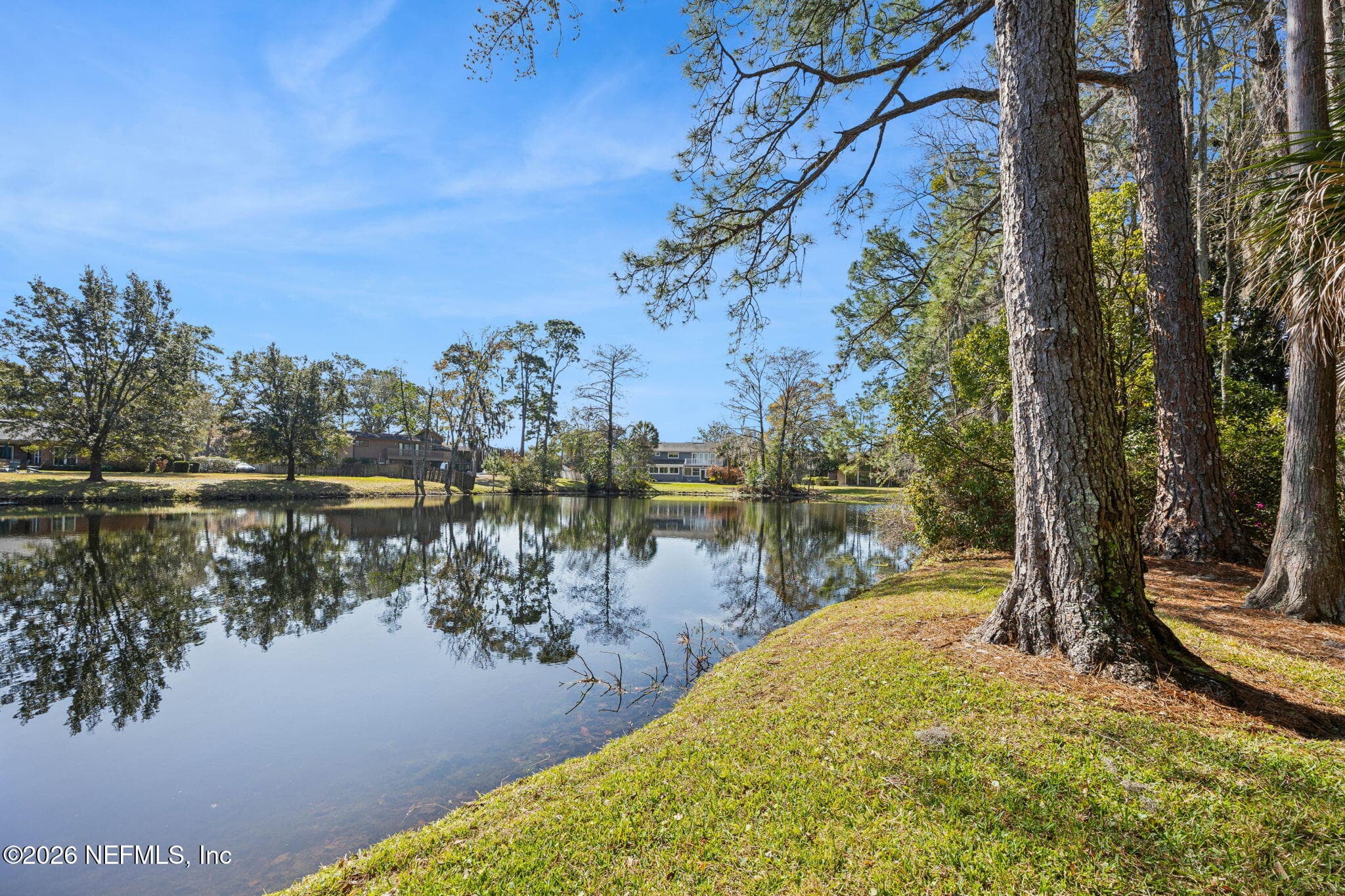 Photo 44 of 7955 PINE LAKE Road, Jacksonville, FL 32256