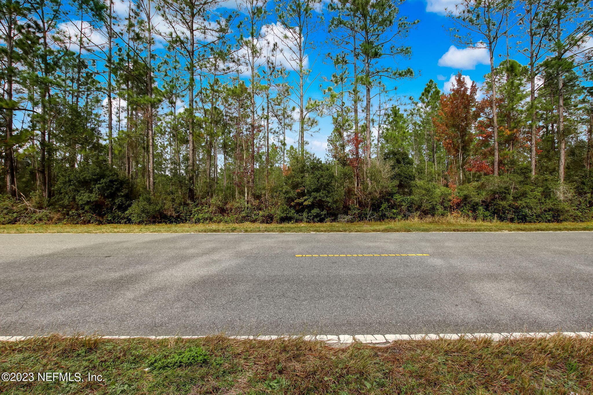 Photo 28 of 00 UNASSIGNED ADDRESS, Interlachen, FL 32148