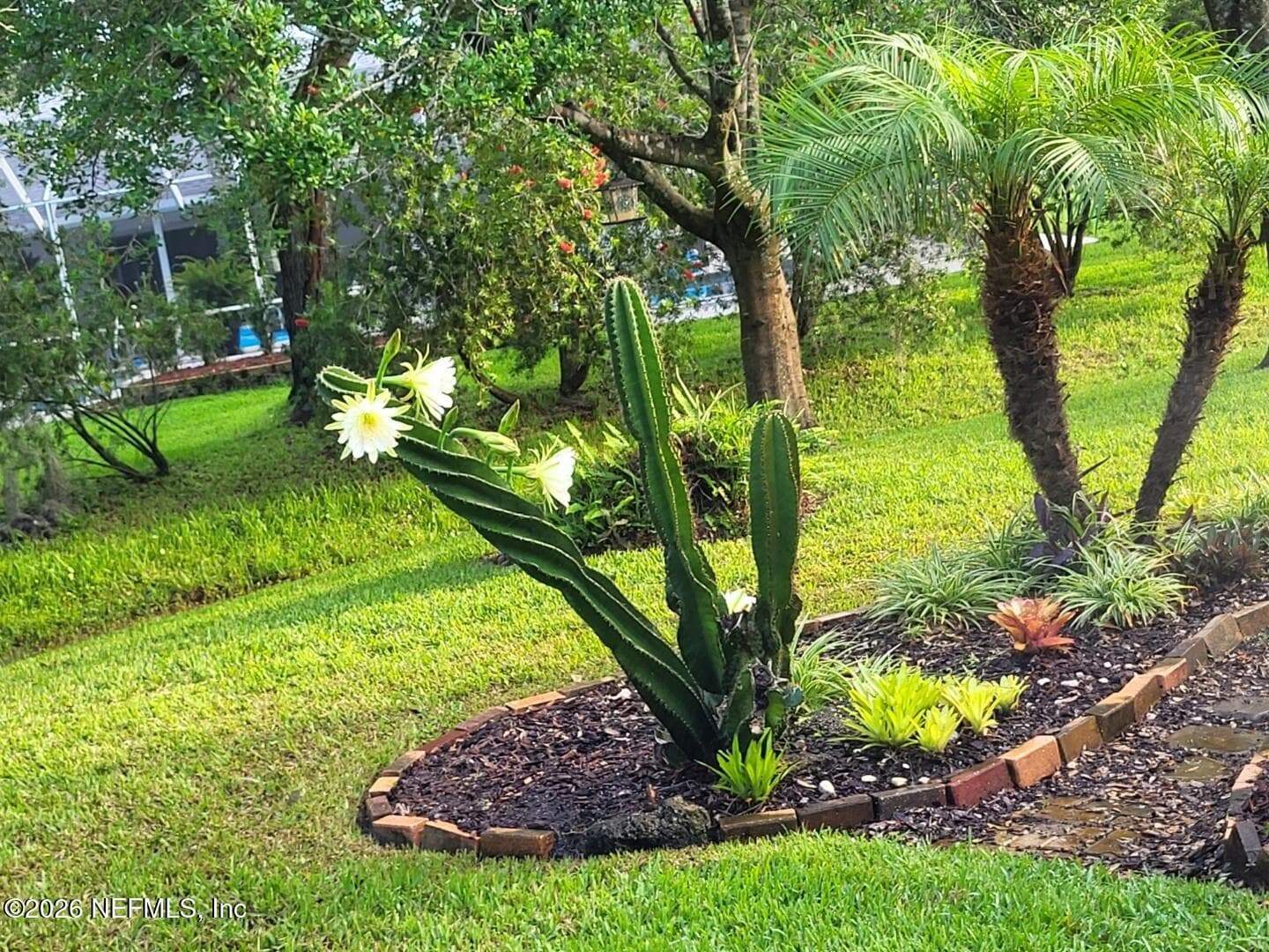 Rear Garden — 6 MONTAUK Court, Palm Coast, FL 32164