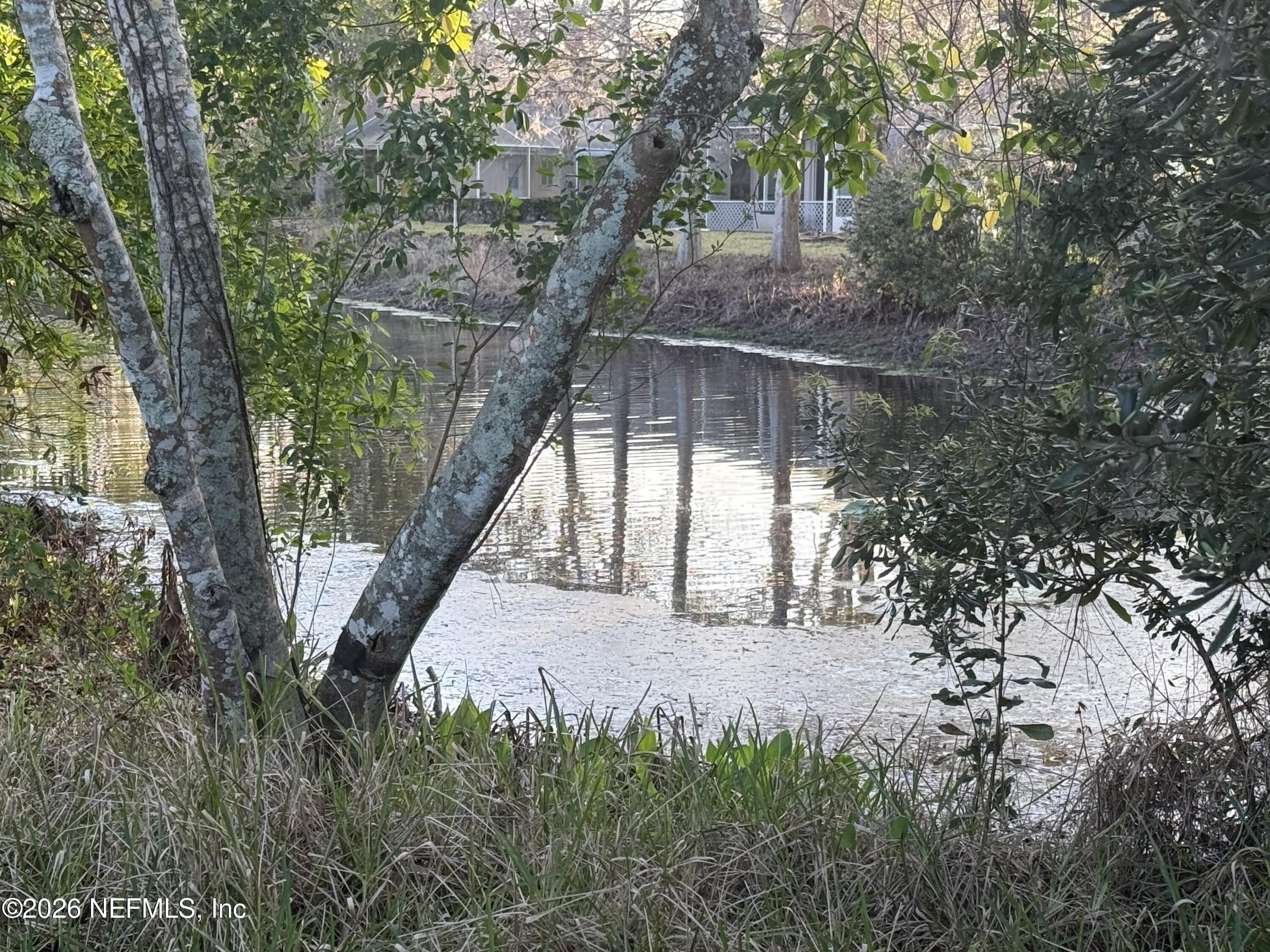 Pond — 6 MONTAUK Court, Palm Coast, FL 32164