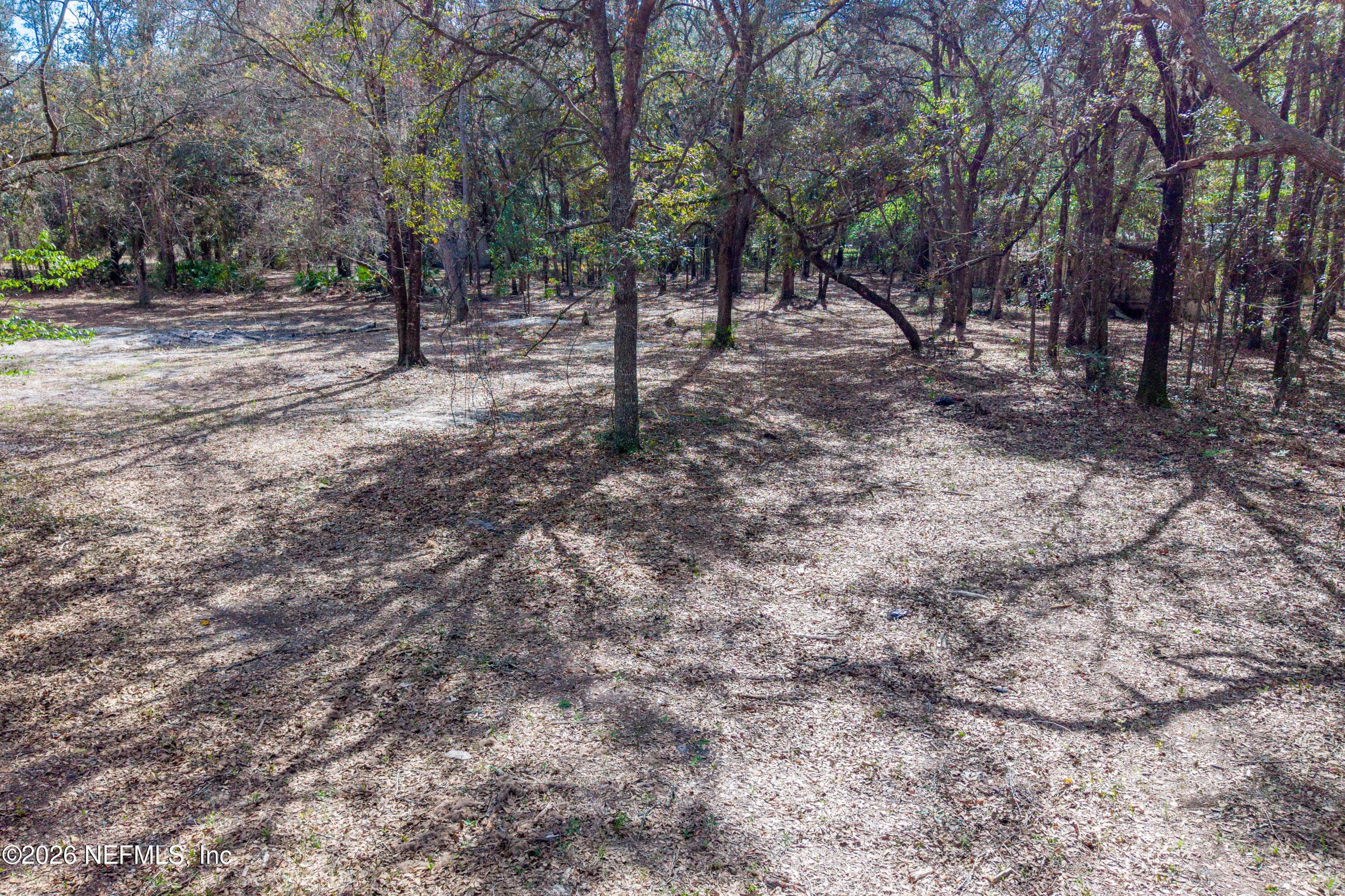 Photo 8 of 9094 SE 50TH Avenue, Hampton, FL 32044