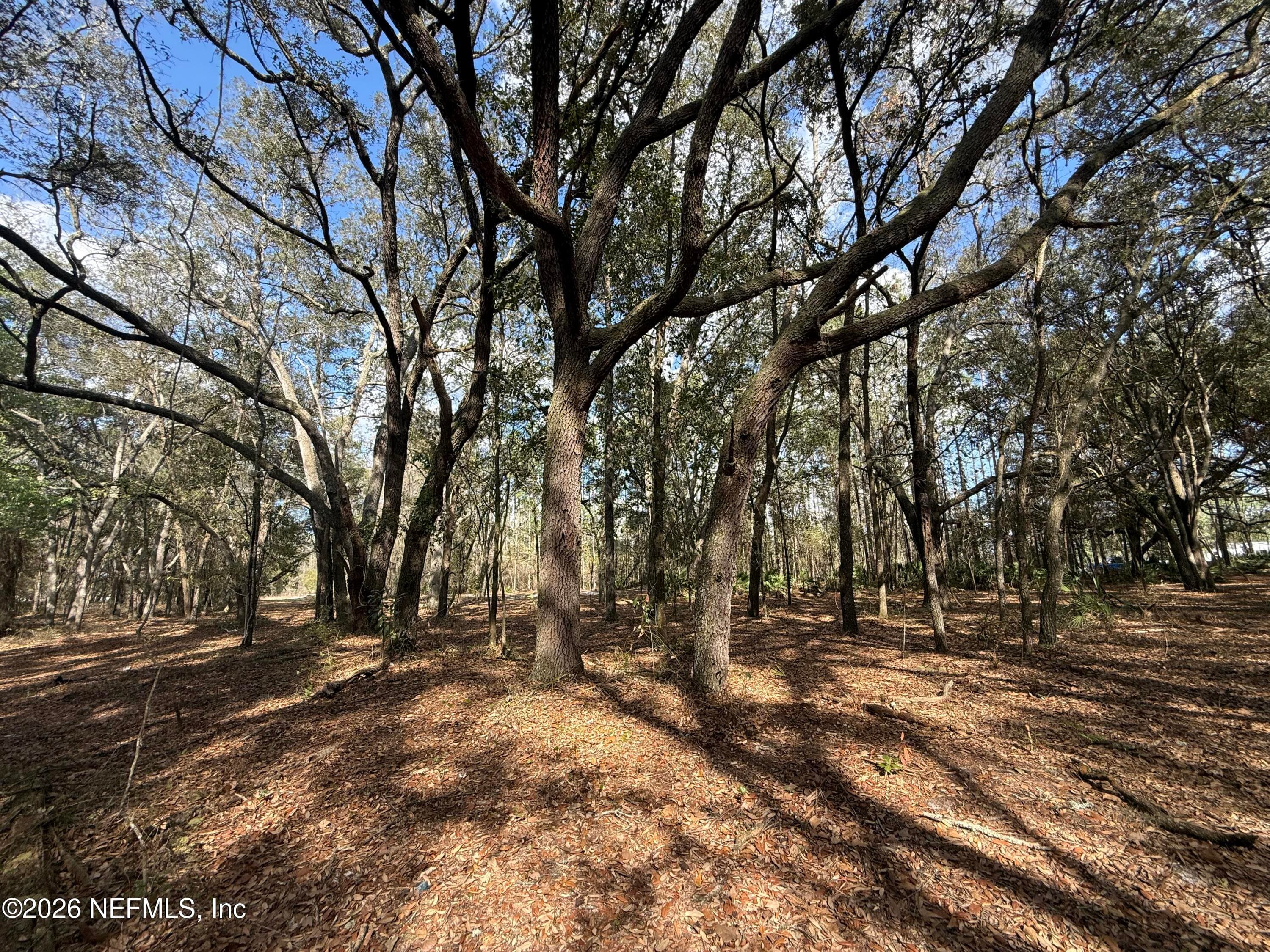 Photo 3 of 9094 SE 50TH Avenue, Hampton, FL 32044