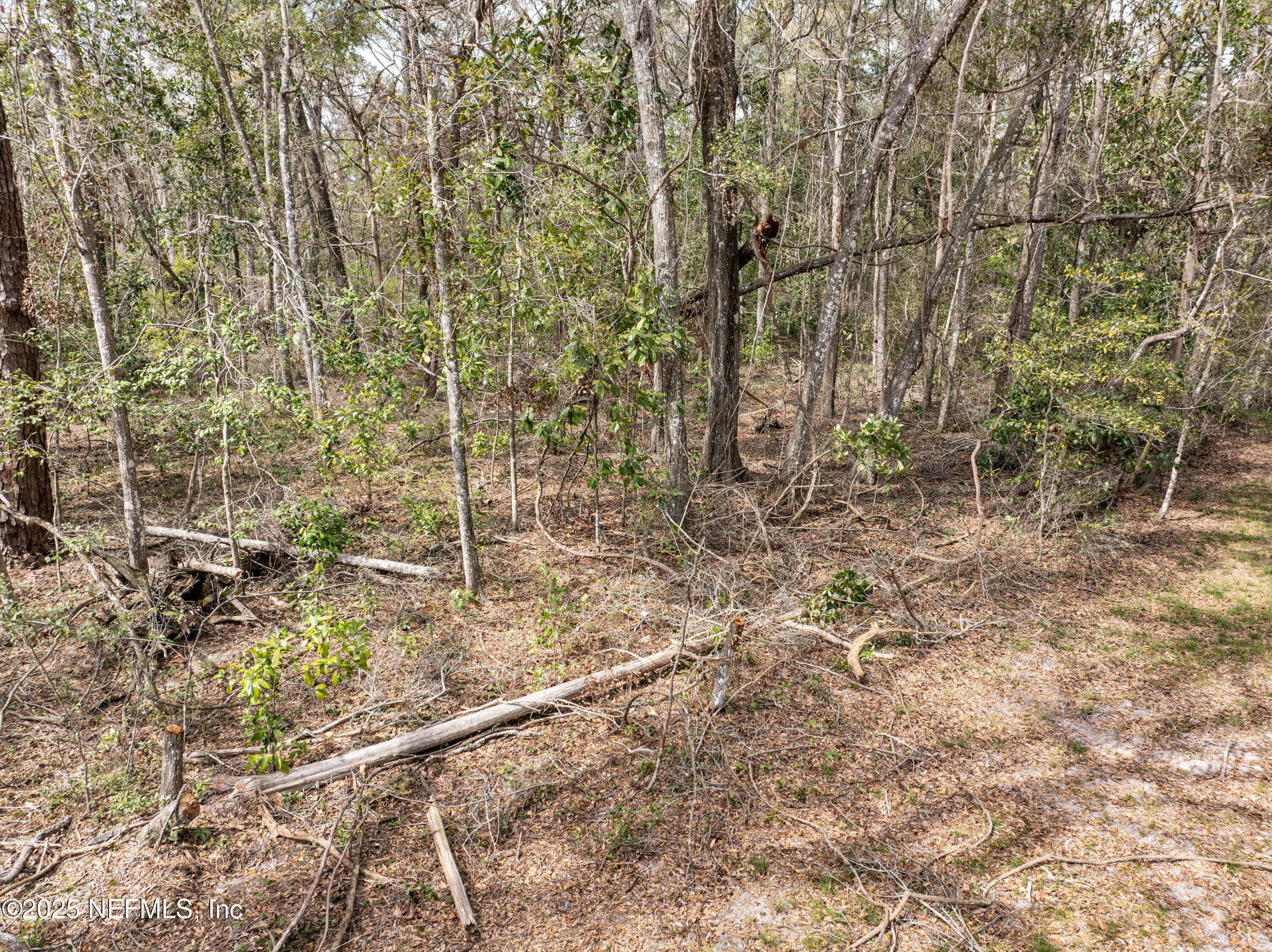 Photo 66 of 0 65TH PLACE A, Branford, FL 32008