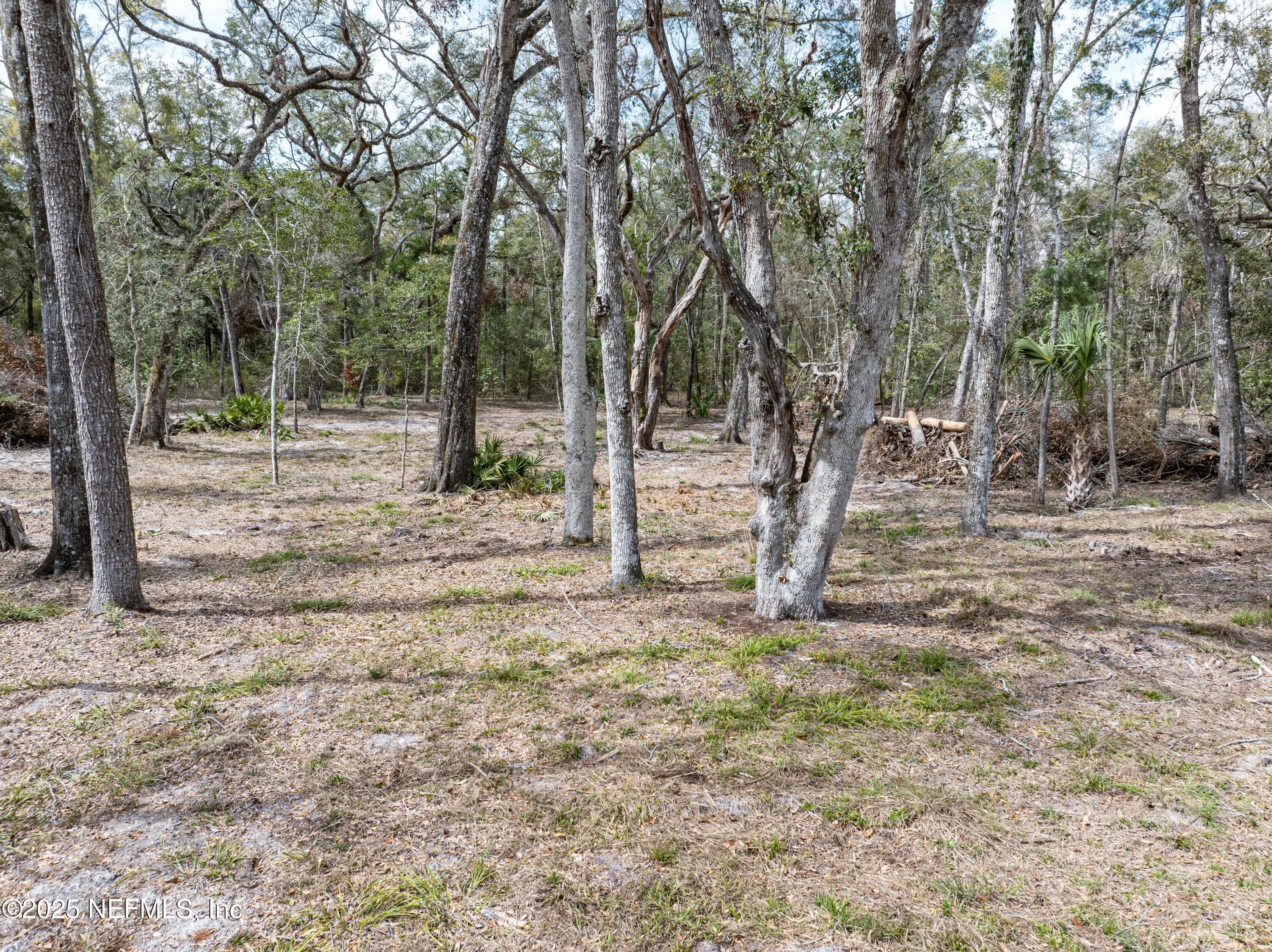 Photo 67 of 0 65TH PLACE A, Branford, FL 32008