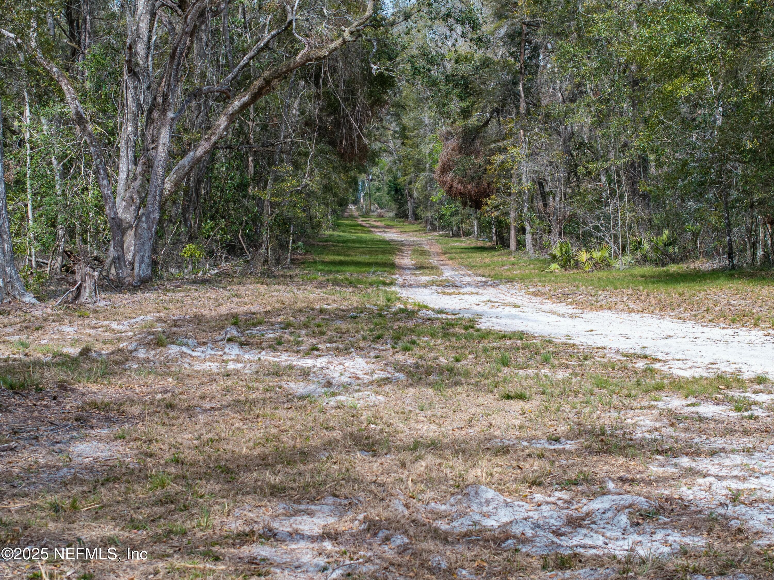 Photo 70 of 0 65TH PLACE A, Branford, FL 32008