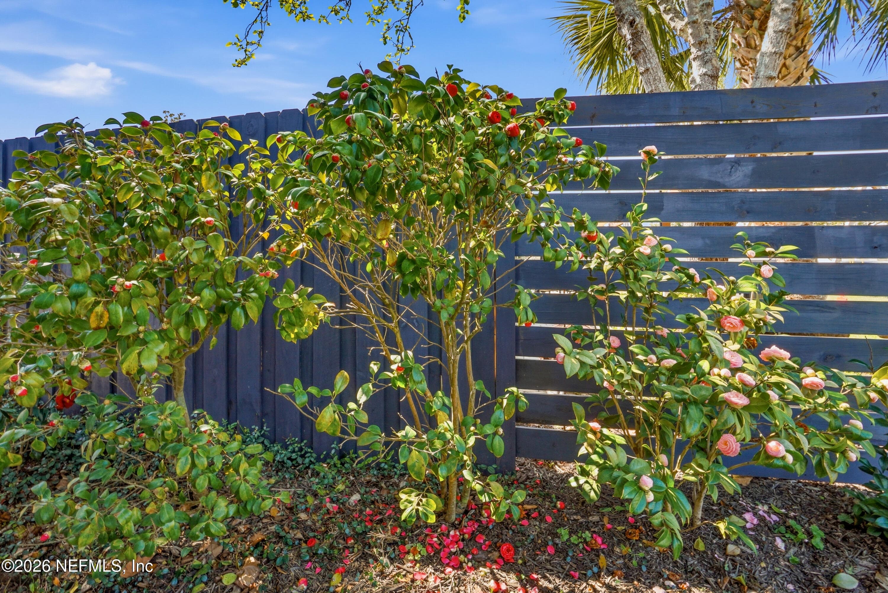 Photo 33 of 926 6TH Avenue N, Jacksonville Beach, FL 32250
