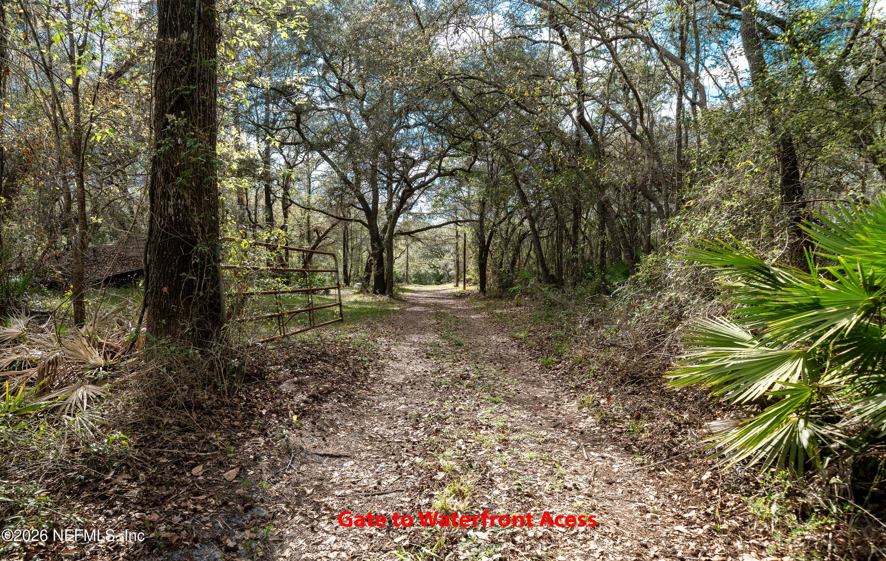 Photo 7 of 4333 HAWK HAVEN Road, Middleburg, FL 32068